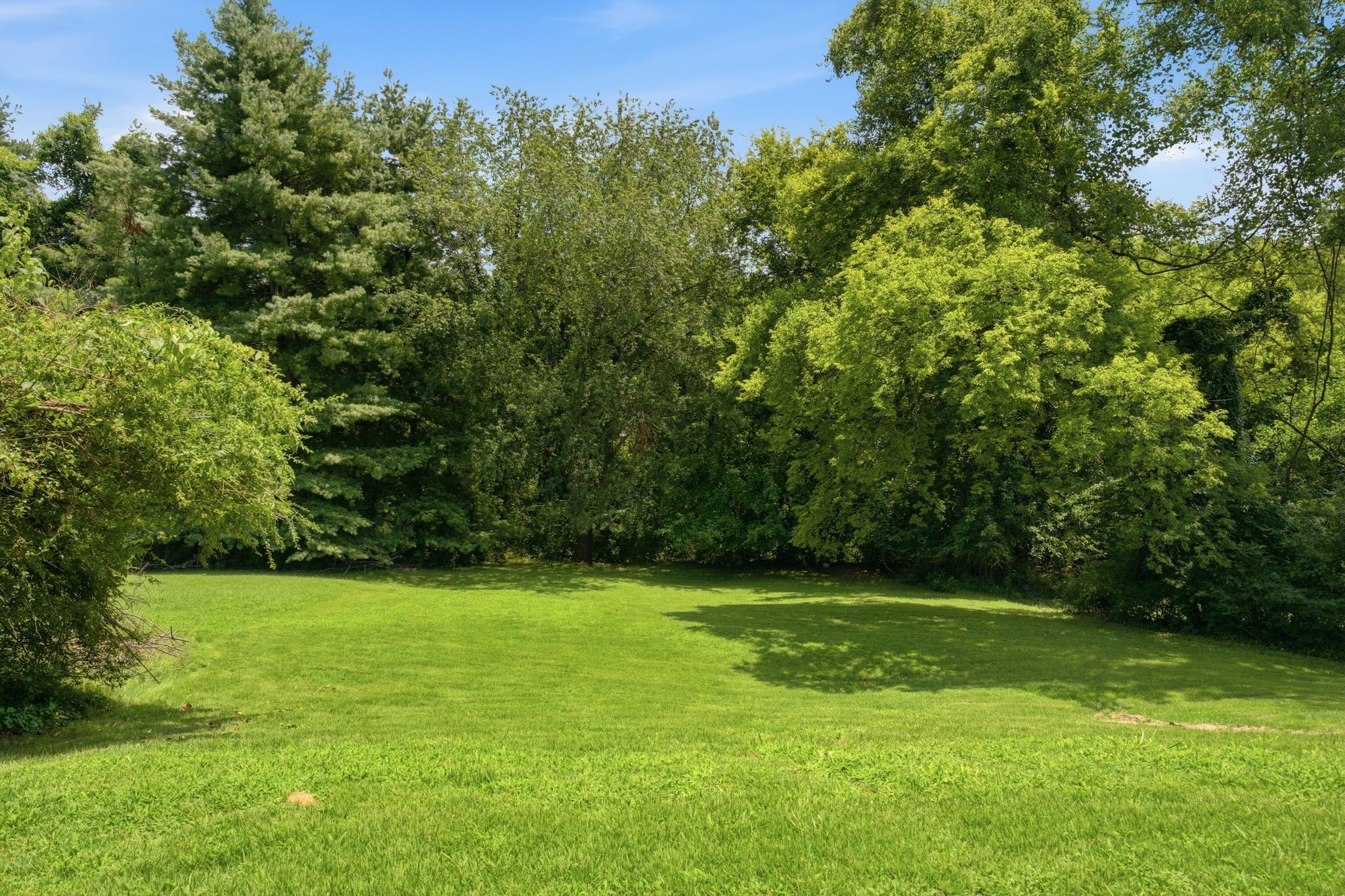 4778 A B Trenton Dr Property Photo 31