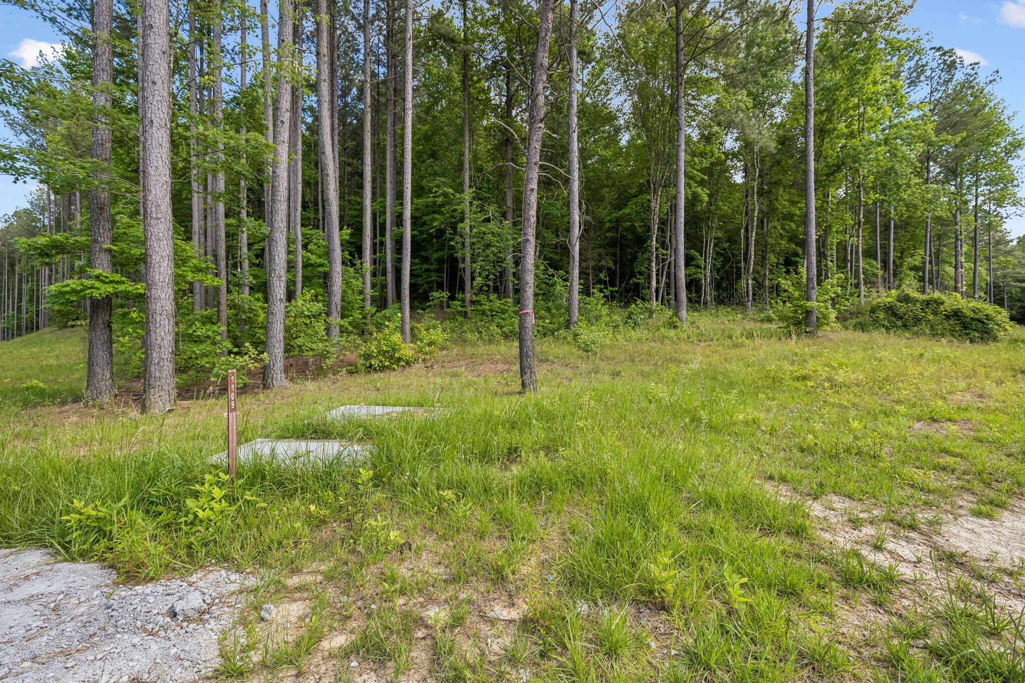 1109 Birds Eye Way Property Photo 33