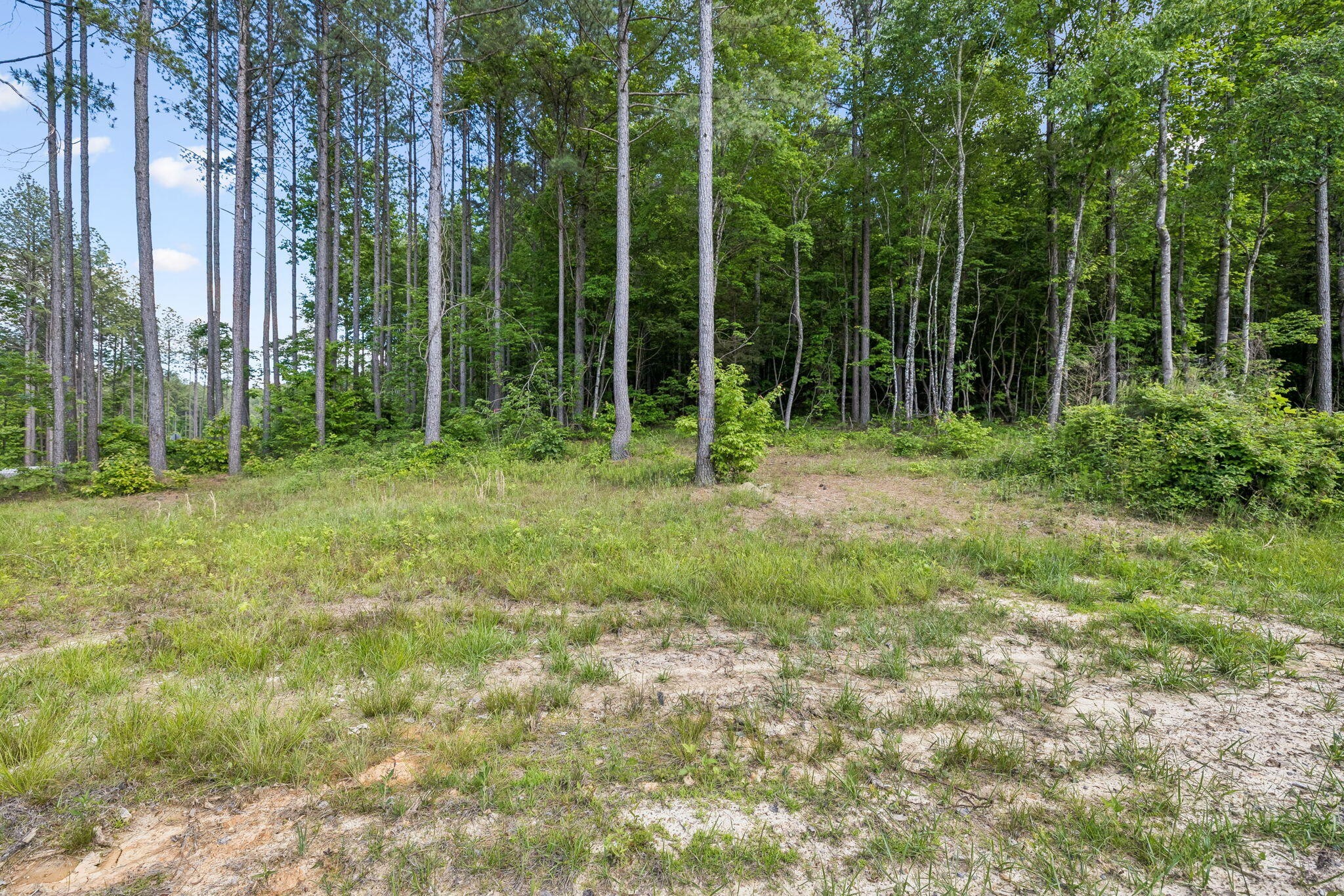 1109 Birds Eye Way Property Photo 34