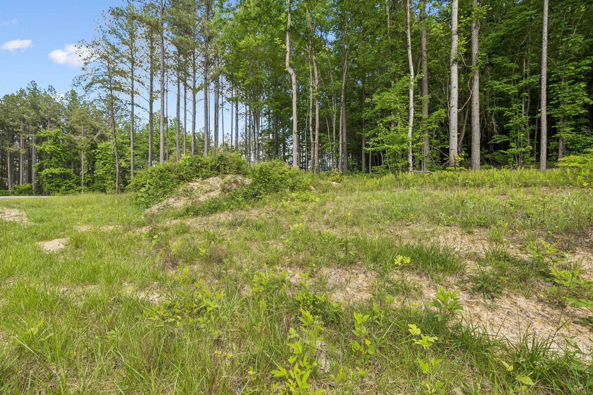 1109 Birds Eye Way Property Photo 35