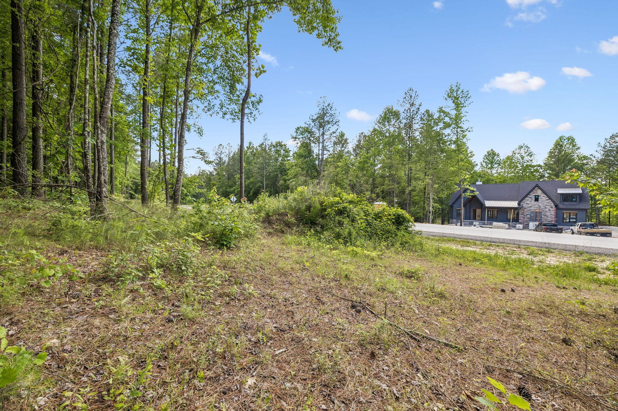 1109 Birds Eye Way Property Photo 36