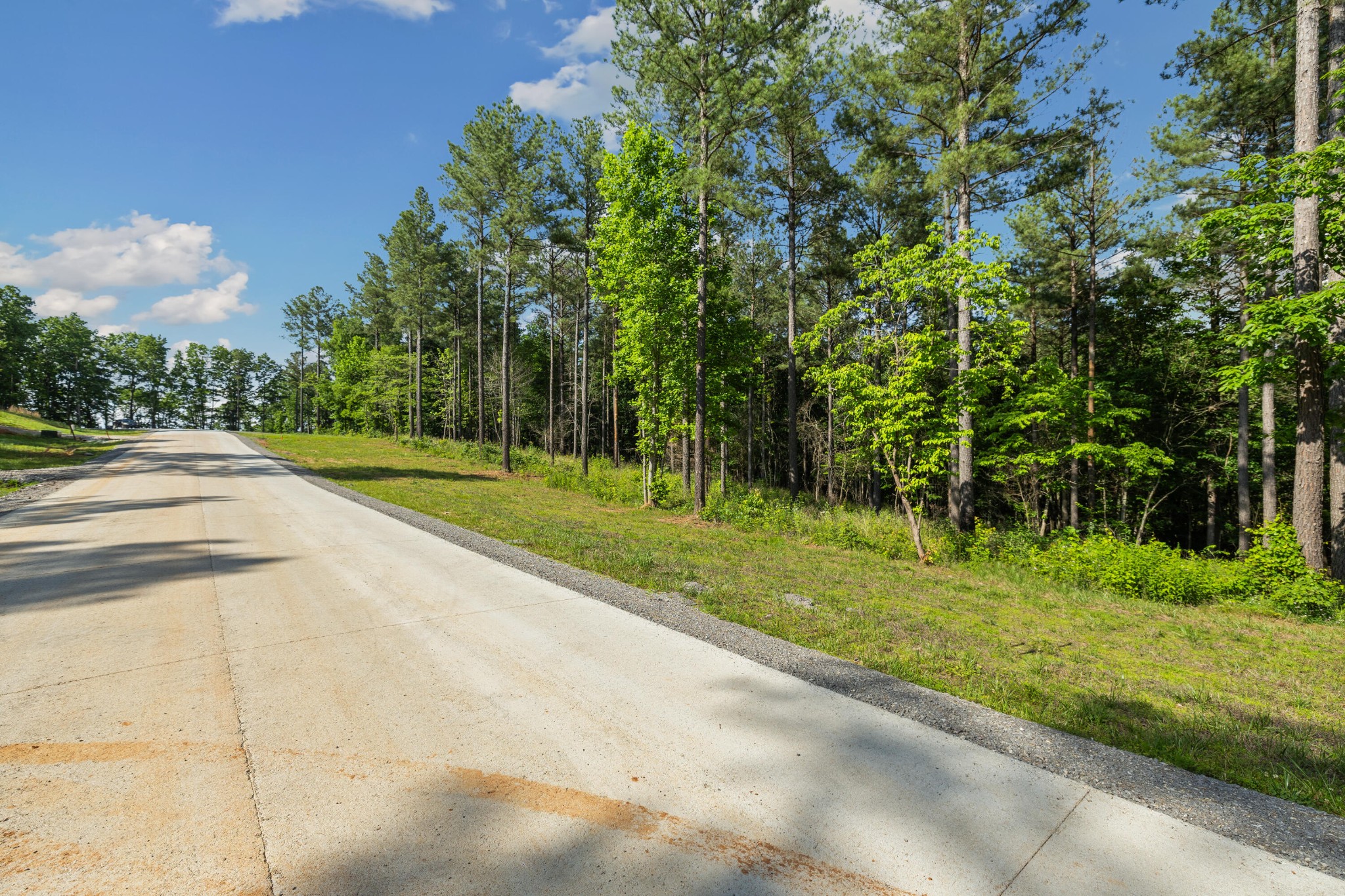 1023 Buck Crossing Dr Property Photo 5
