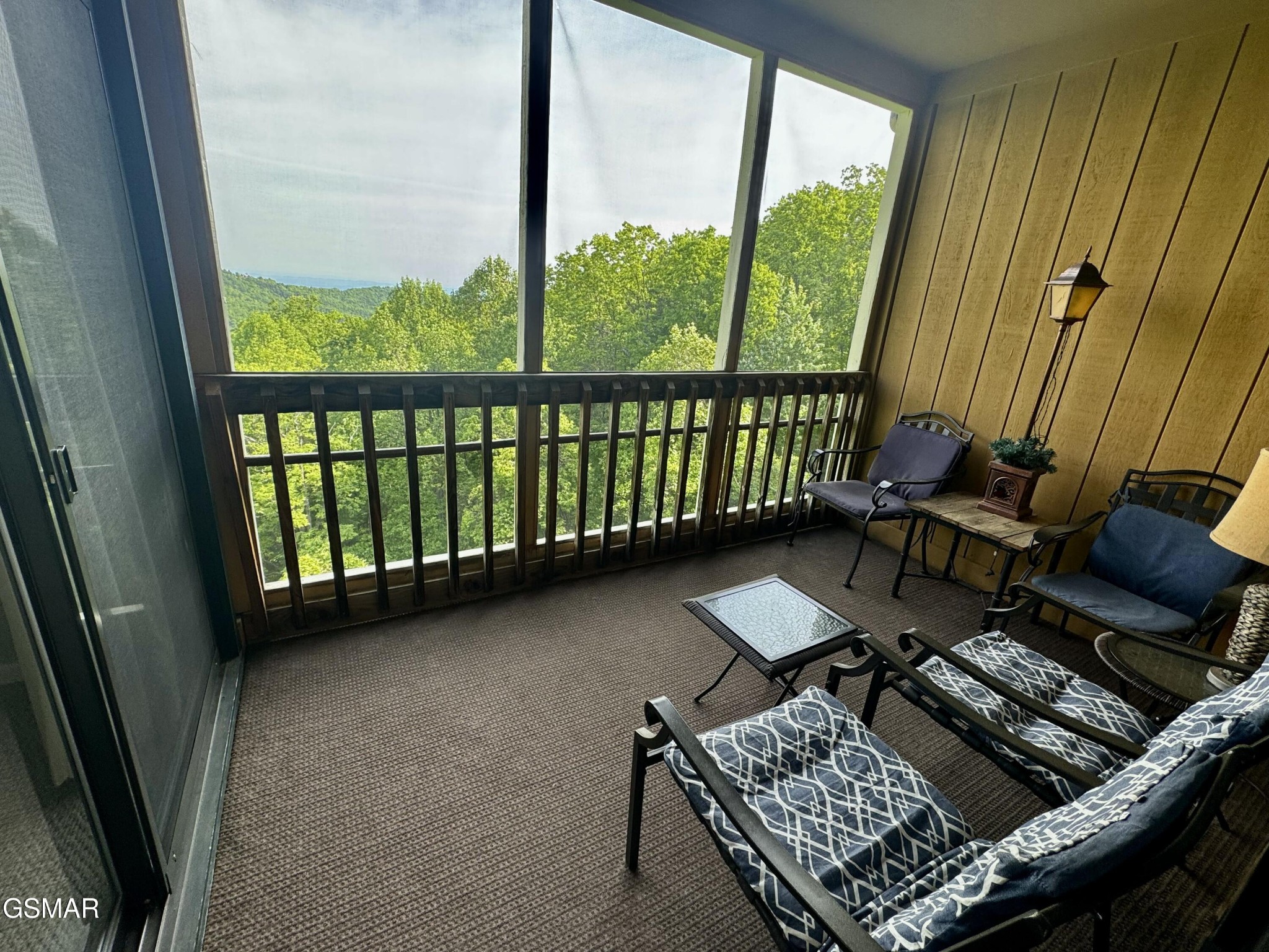 1102 Ski View Drive Property Photo 26