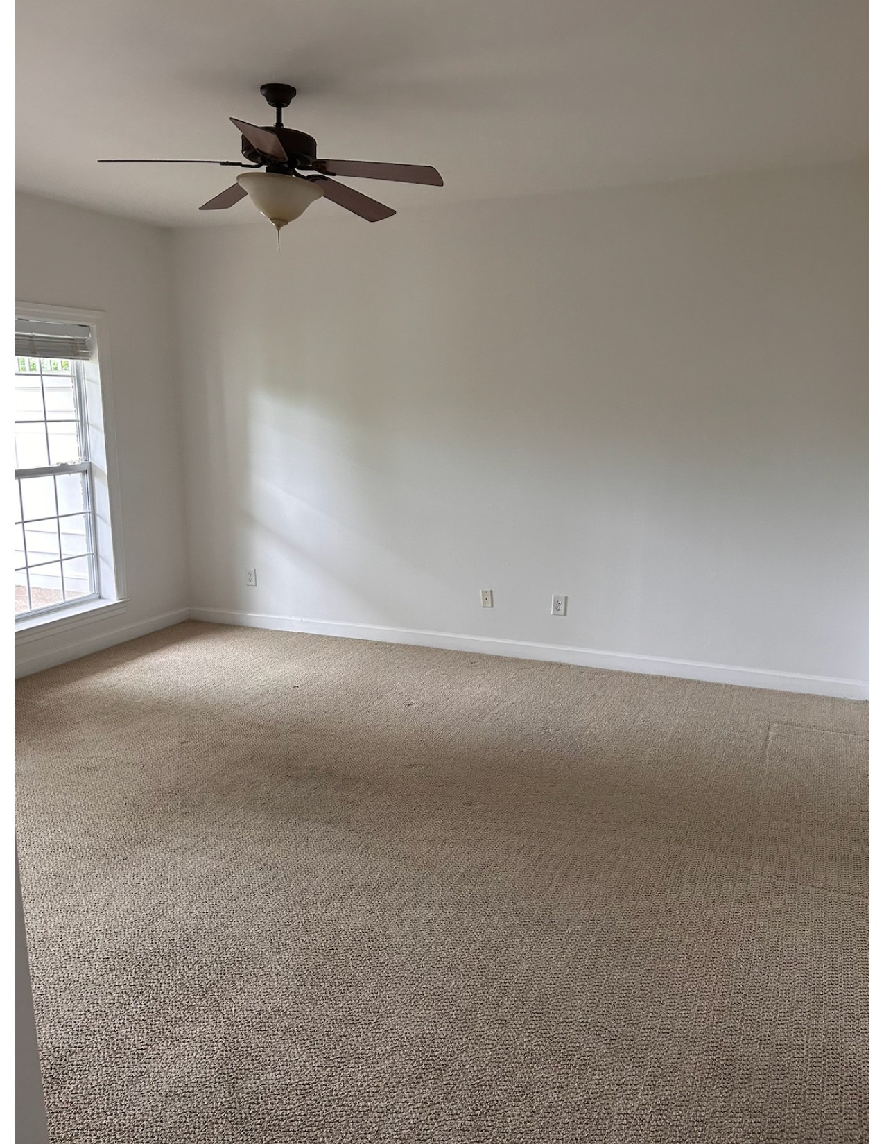 153 Ormesby Pl Property Photo 5