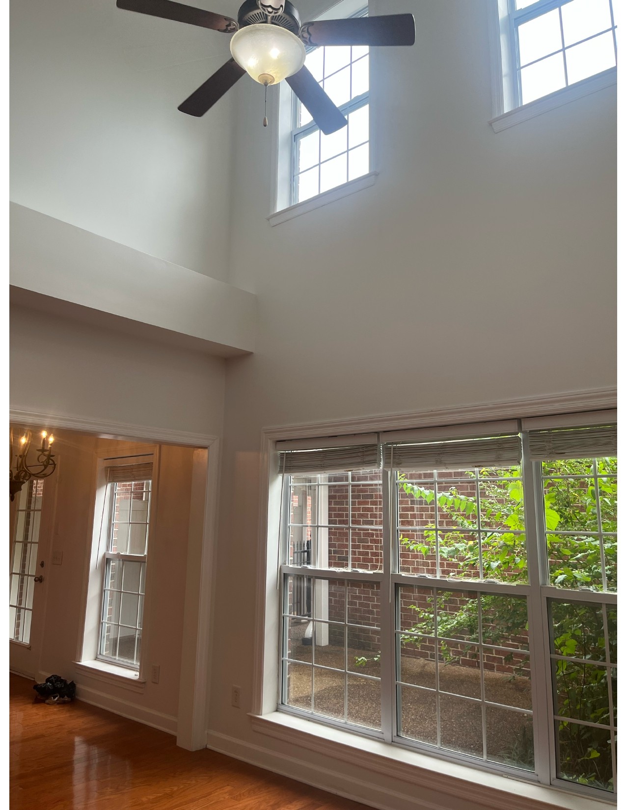 153 Ormesby Pl Property Photo 20