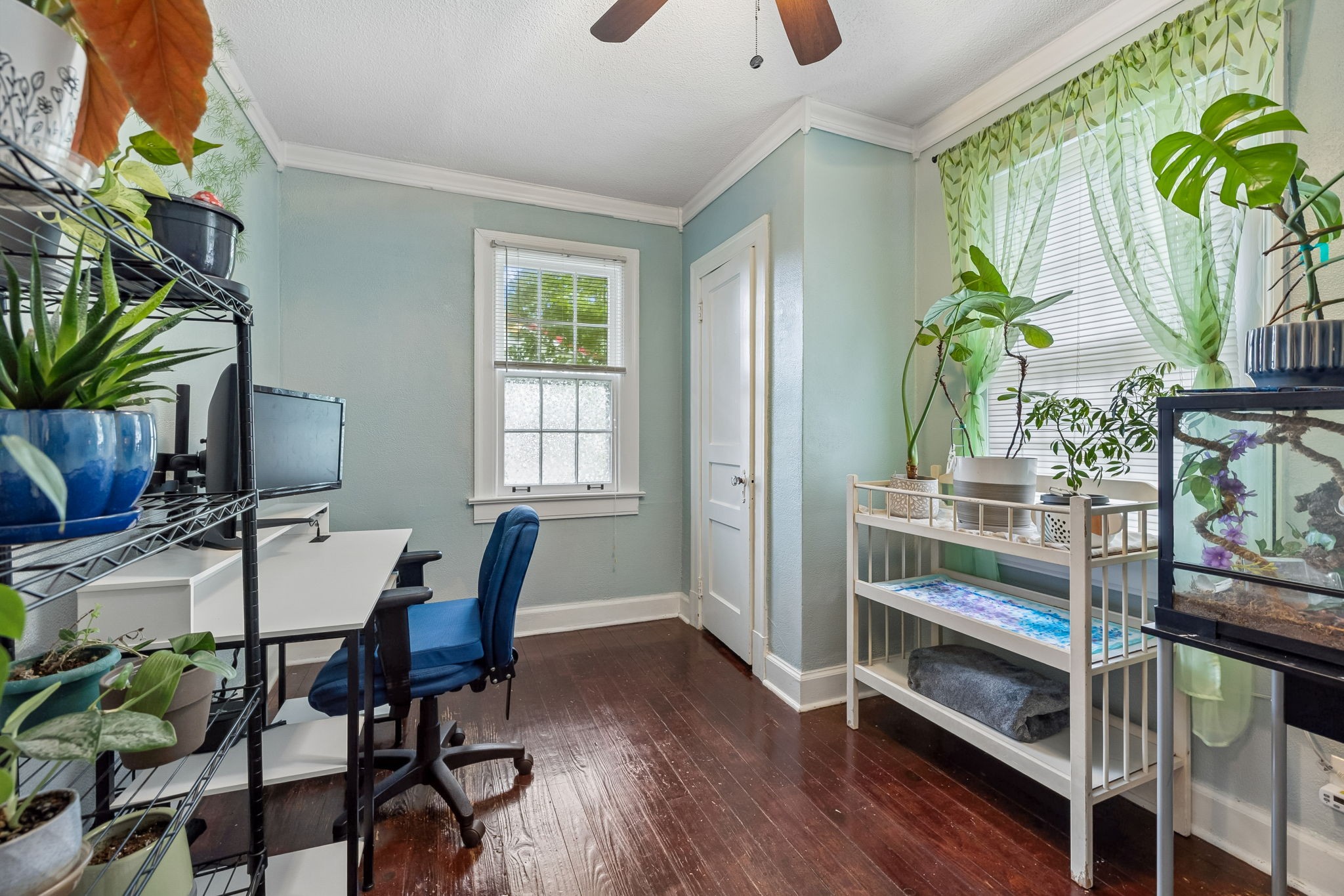 1804 Mars St Property Photo 22