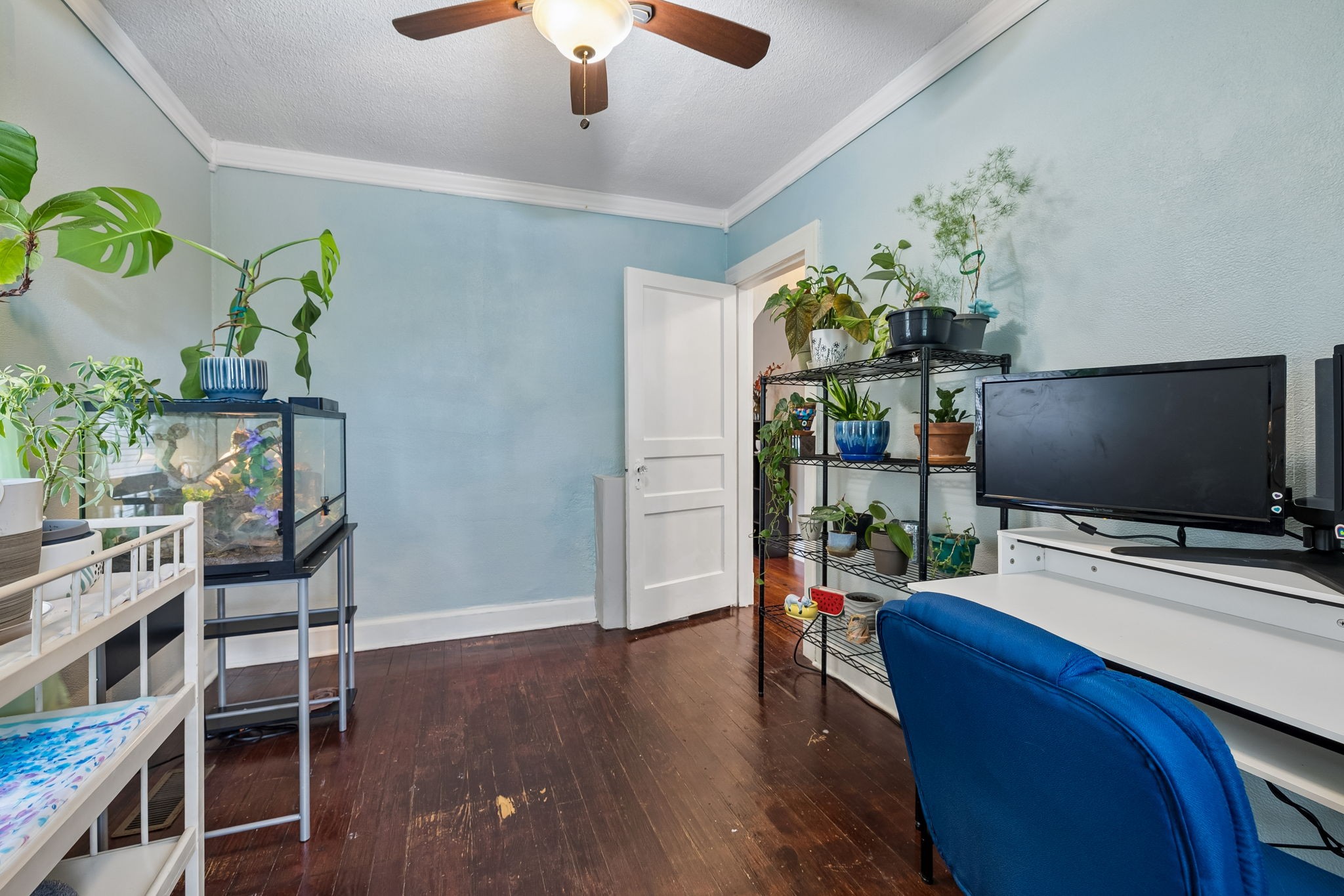 1804 Mars St Property Photo 23