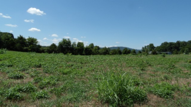0 Ranchside Court Property Photo 16