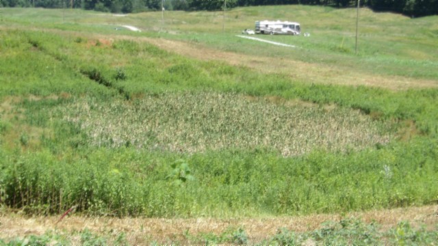 0 Ranchside Court Property Photo 25