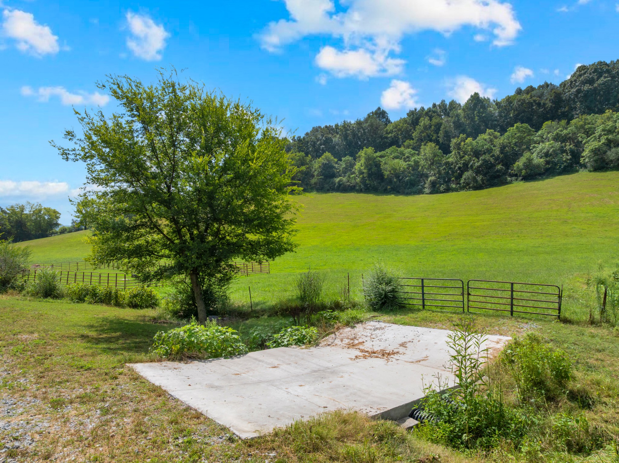 1220 Normandy Rd Property Photo 3