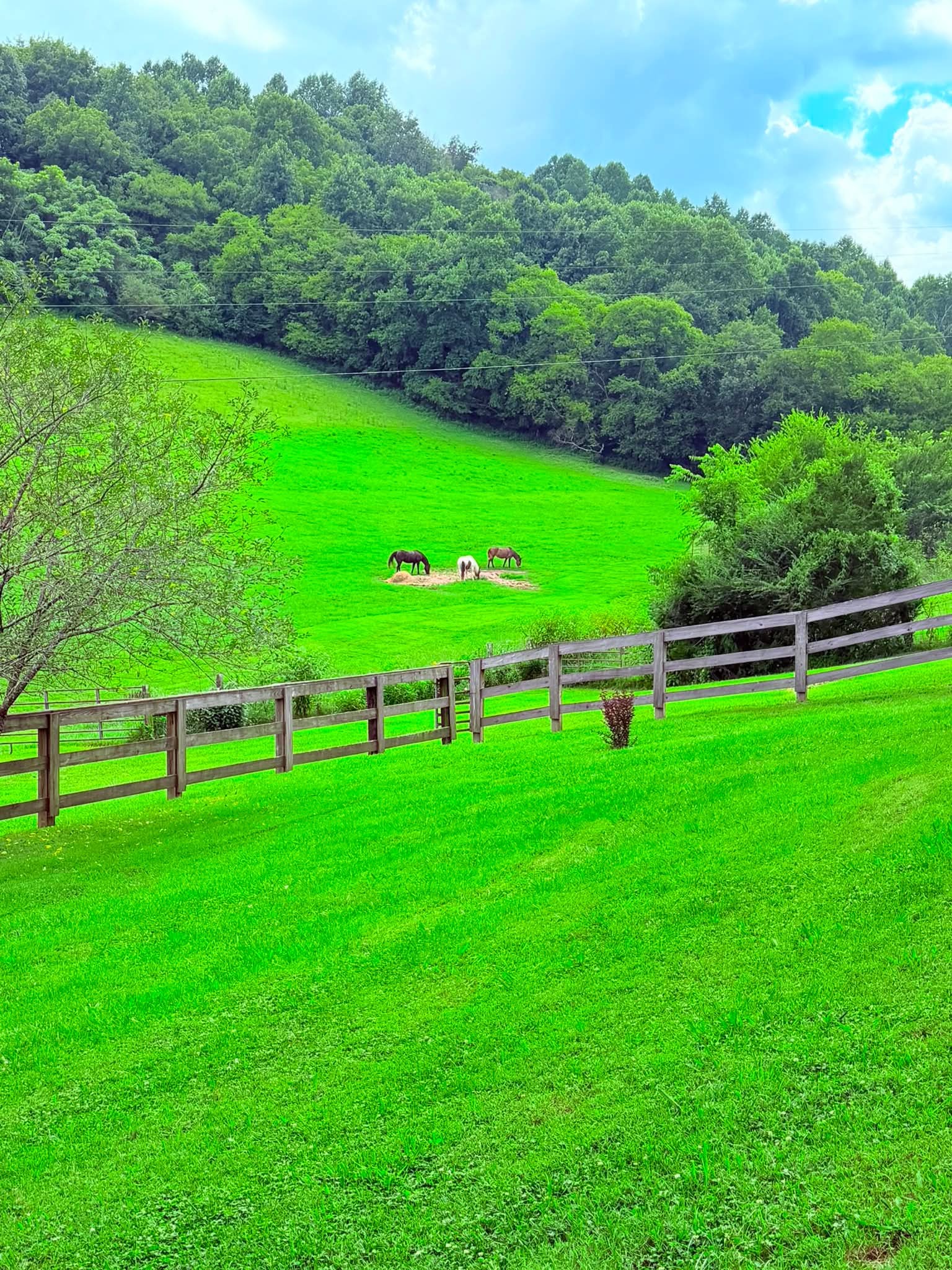 1220 Normandy Rd Property Photo 8
