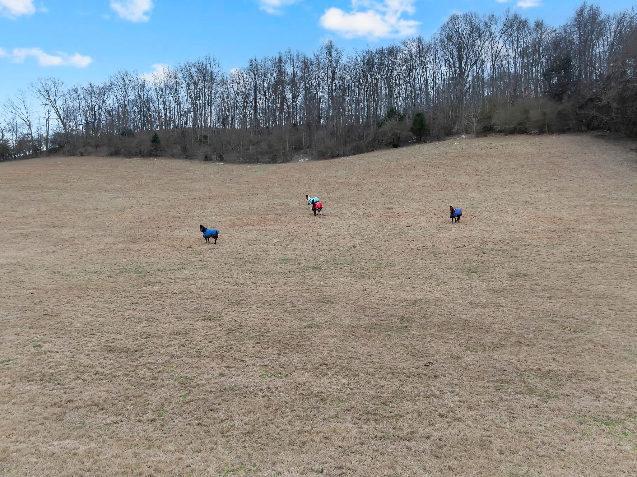 1220 Normandy Rd Property Photo 9