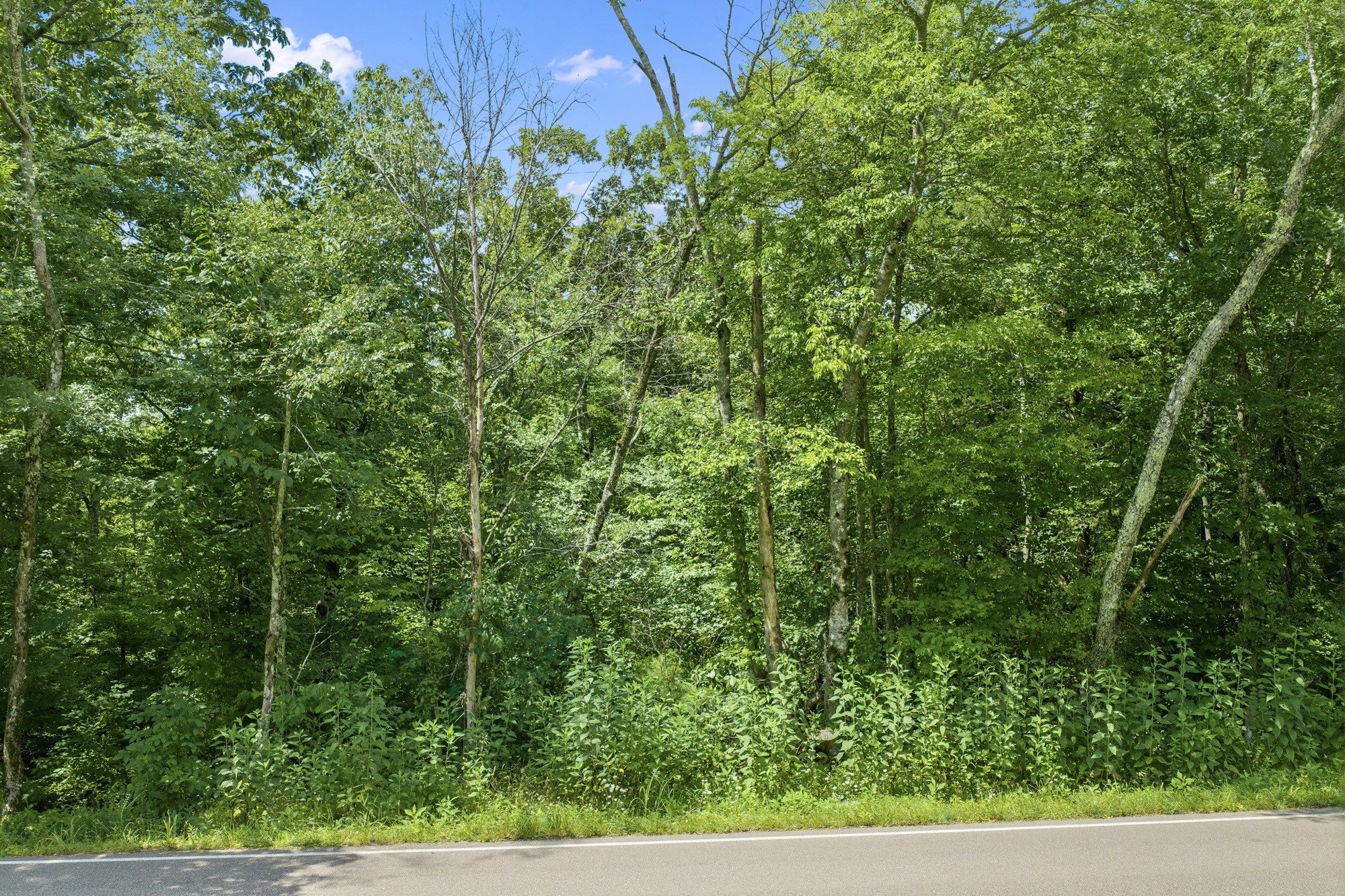 0 Cherokee Heights Road Property Photo 8