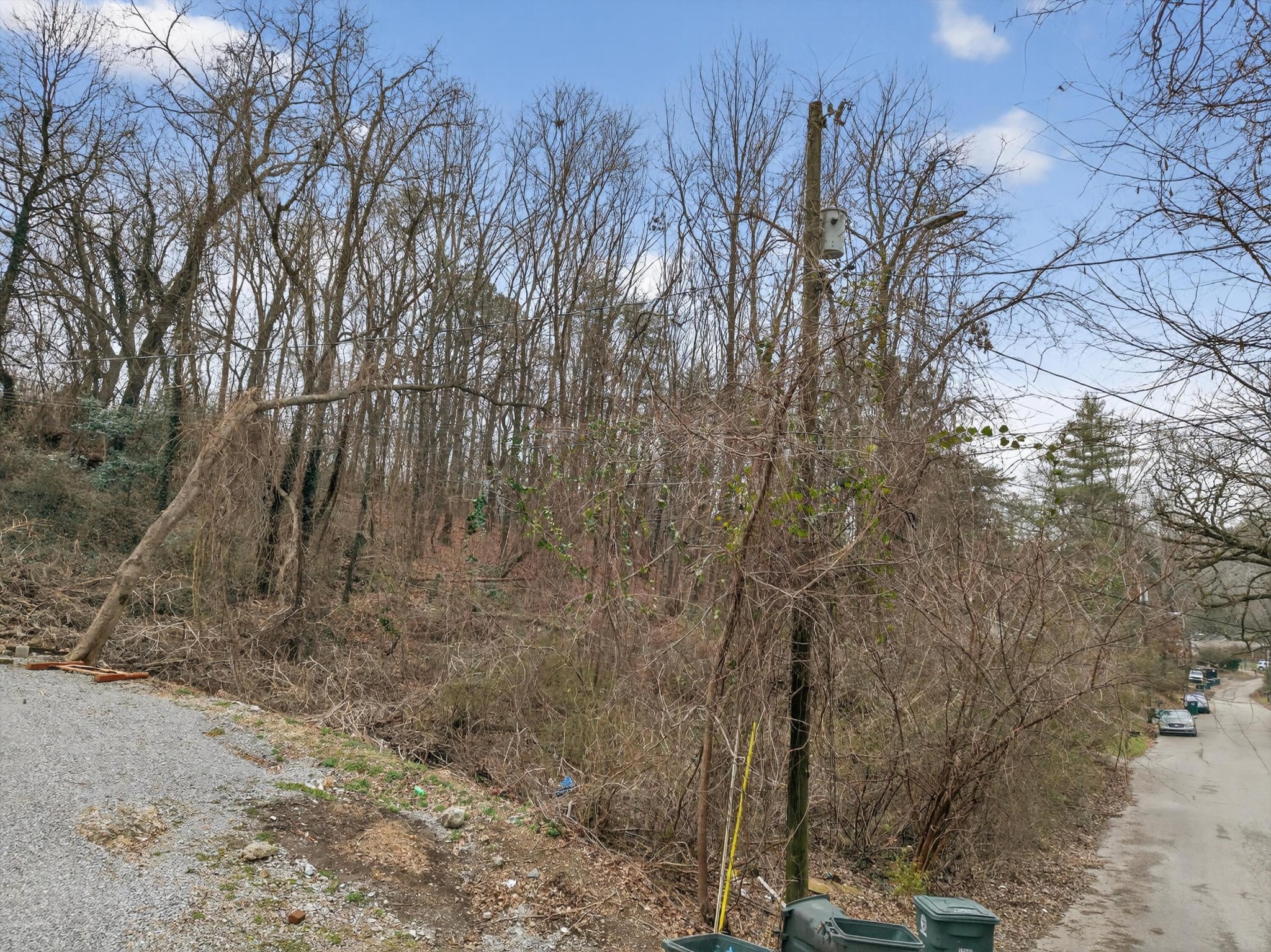 0 Tanaka Trail Property Photo 3
