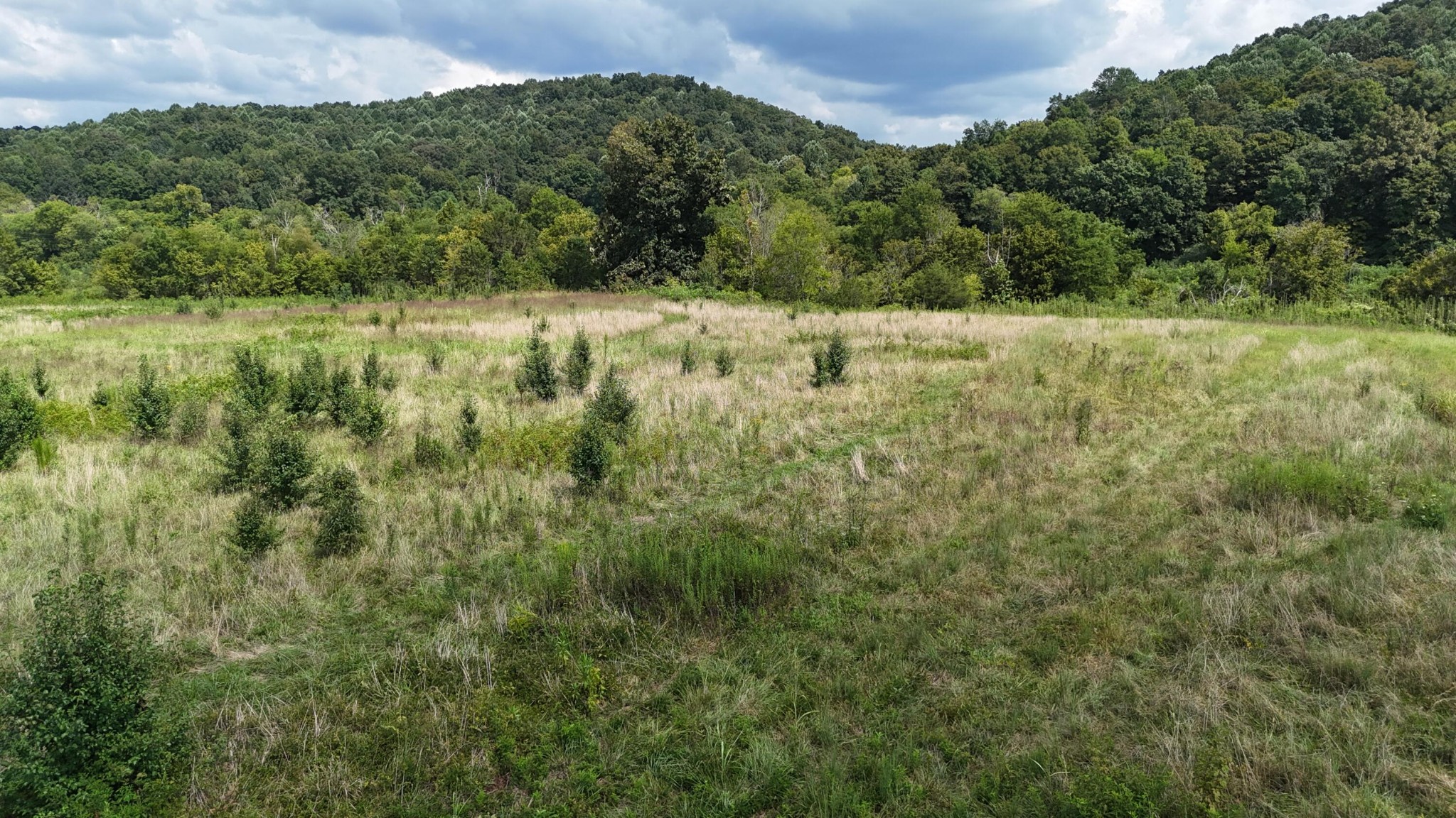 0 County Road 60 Property Photo 1