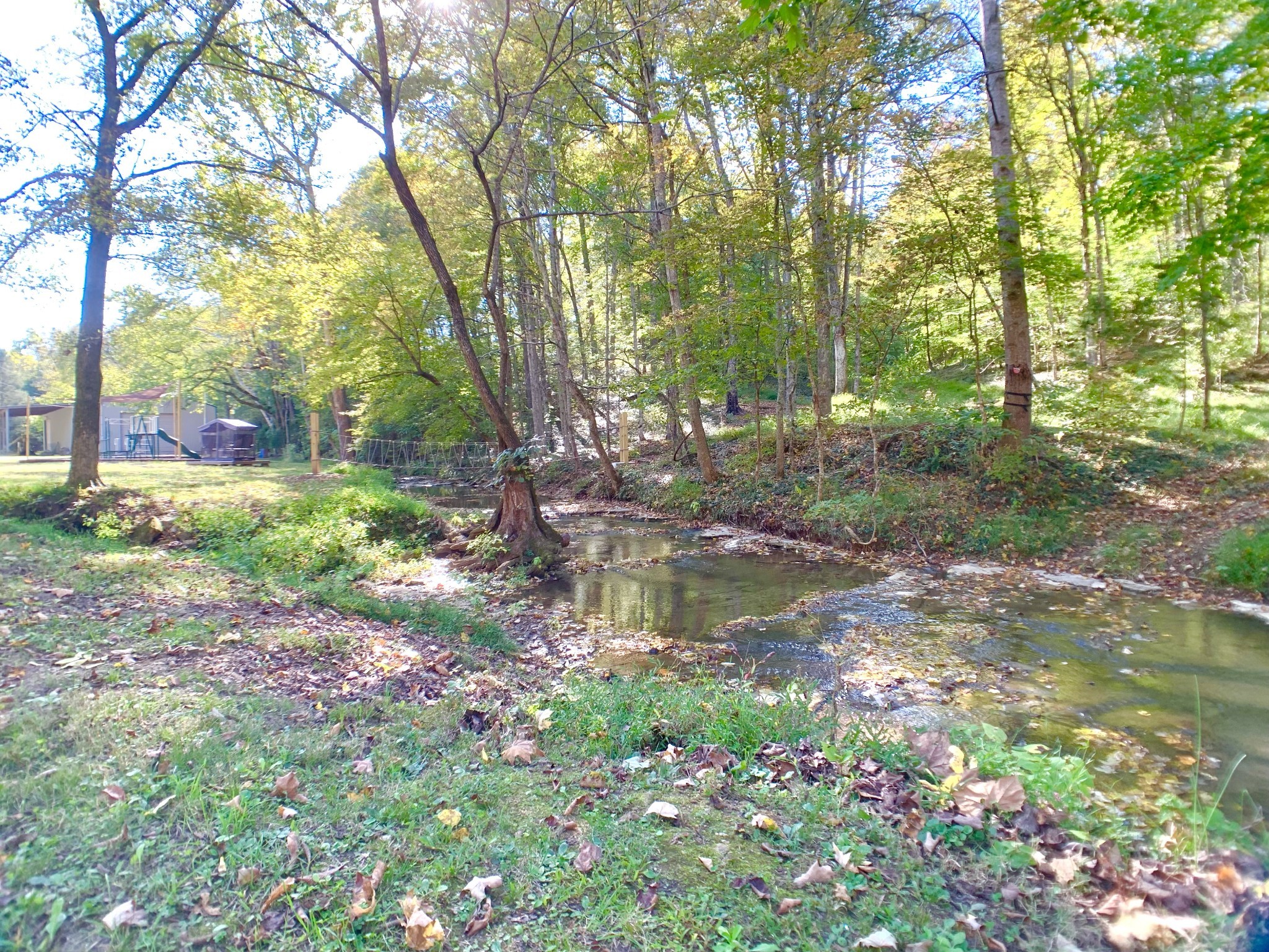 3979 Lem Davis Rd Property Photo 5