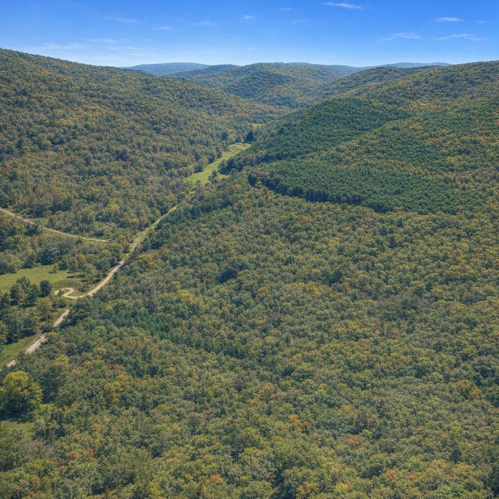 0 Brush Creek Rd Property Photo 1