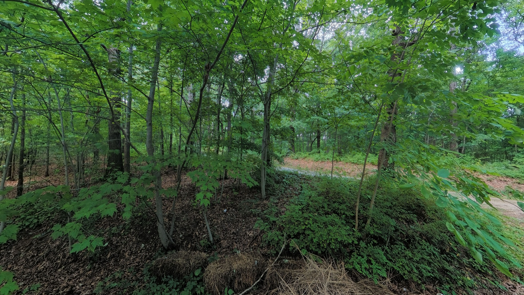 457 Pitcher Rd, S Property Photo 4