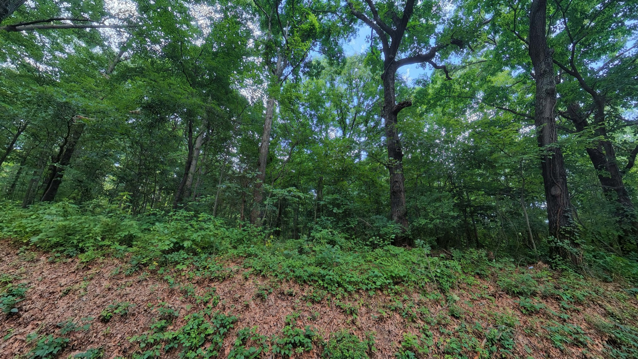457 Pitcher Rd, S Property Photo 6