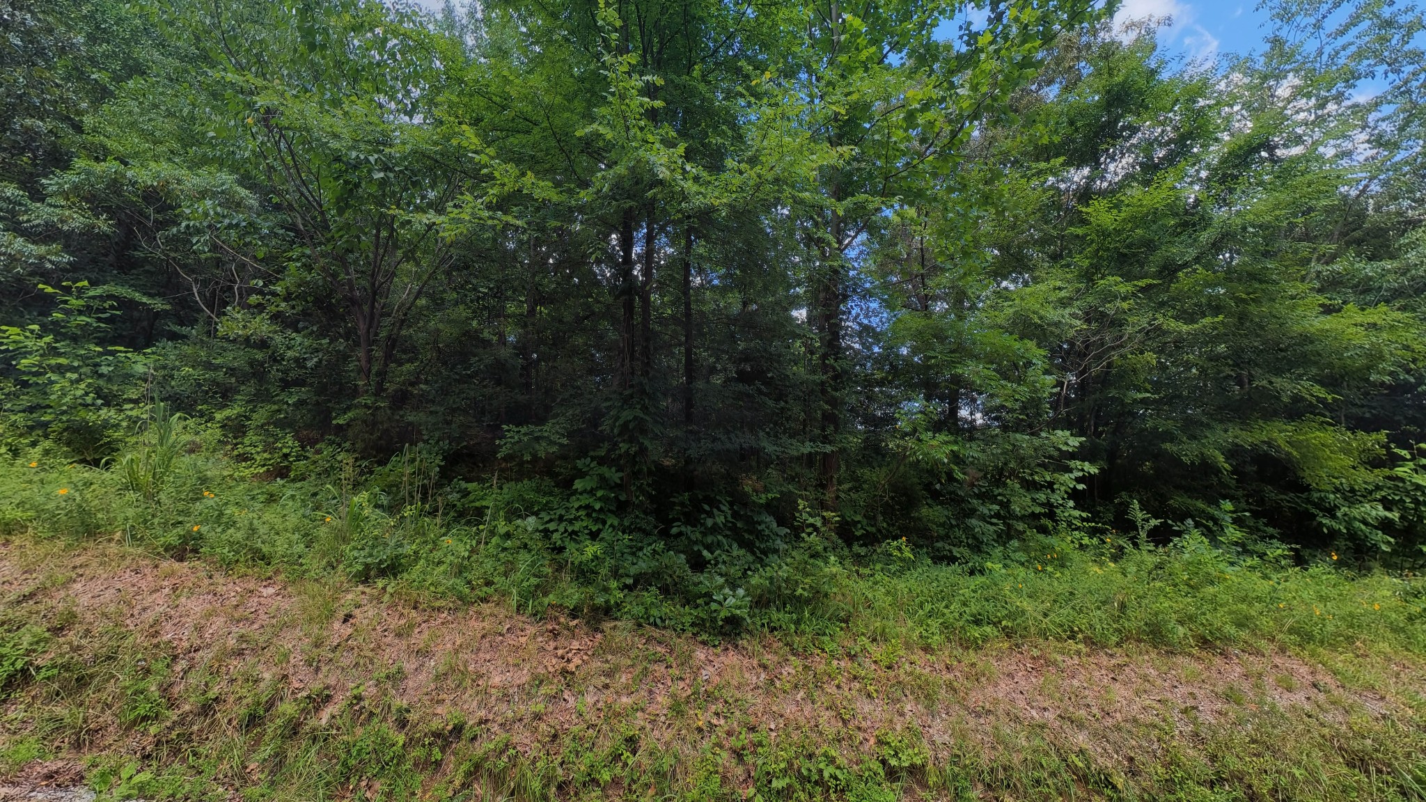 457 Pitcher Rd, S Property Photo 7