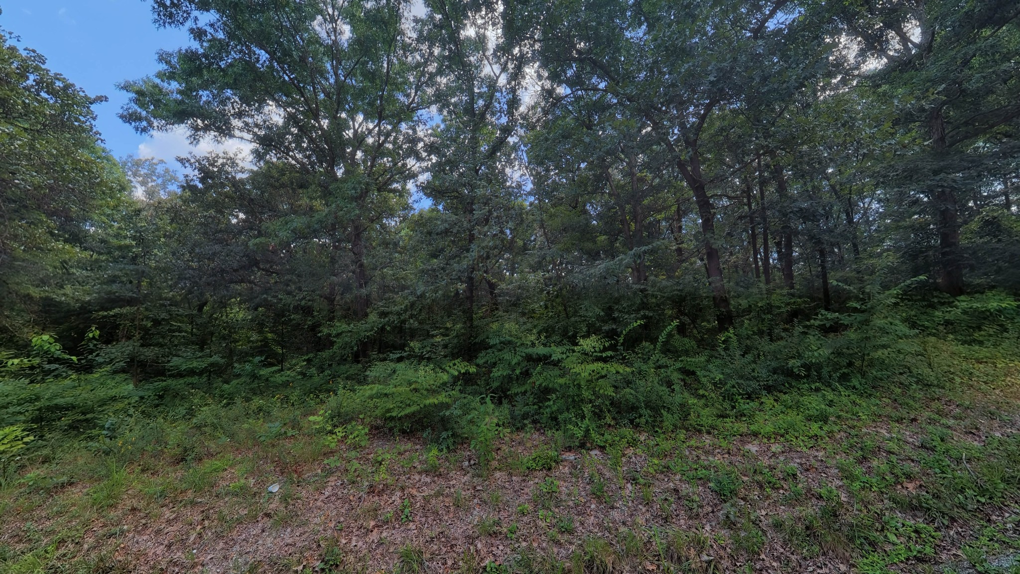 457 Pitcher Rd, S Property Photo 8
