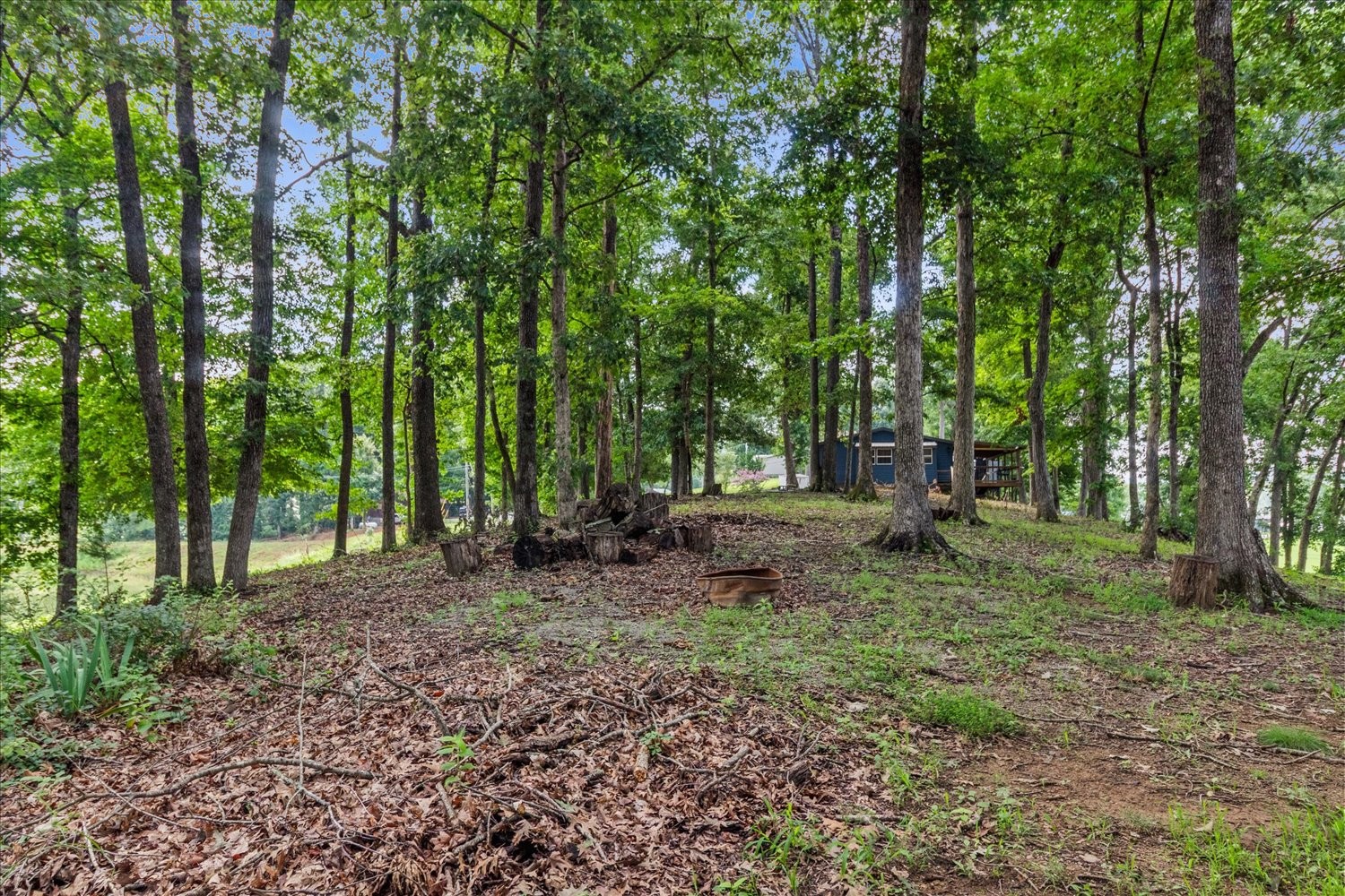 166 Beechview Dr Property Photo 26
