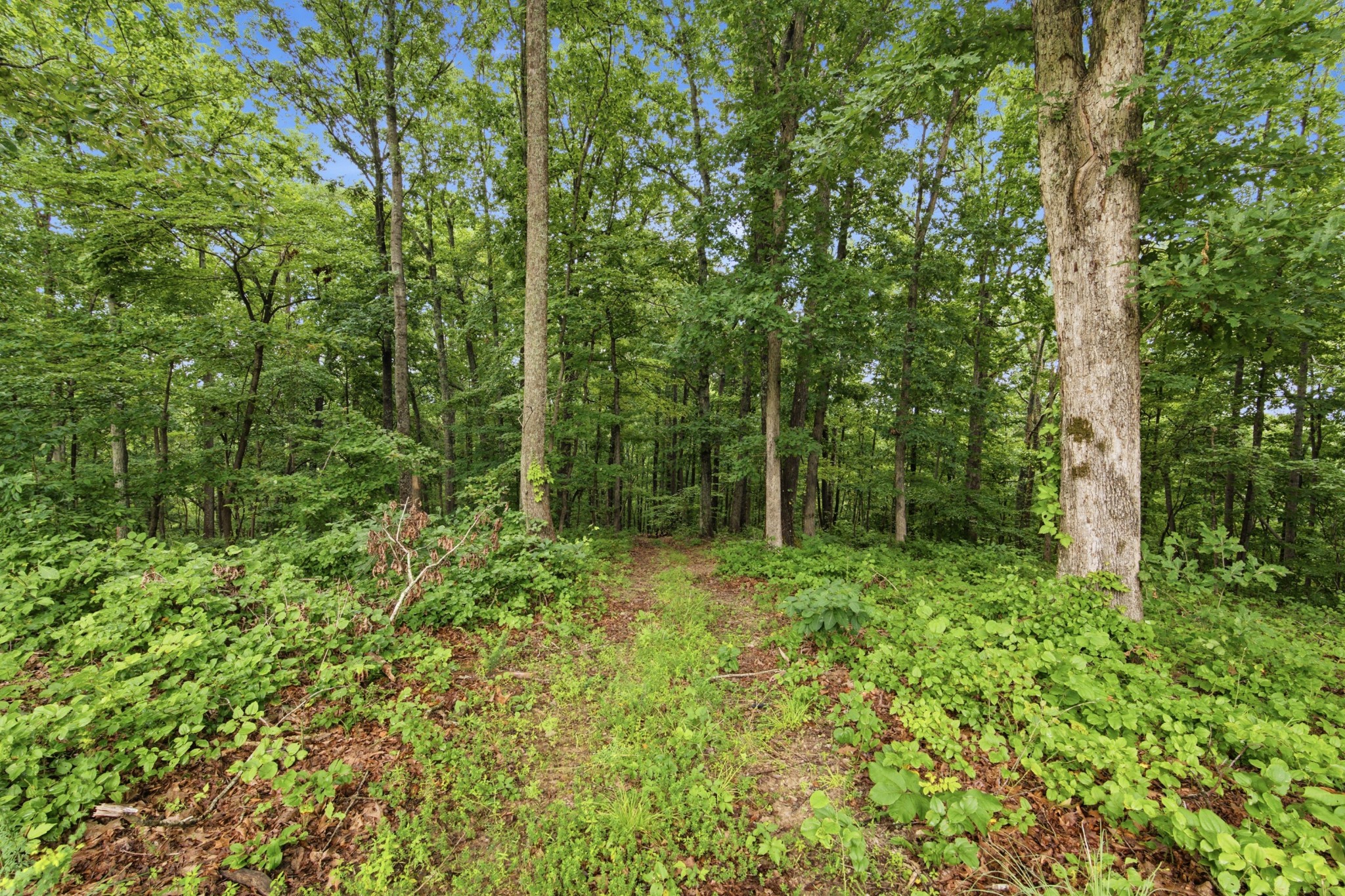 1658 Apache Trl Property Photo 41