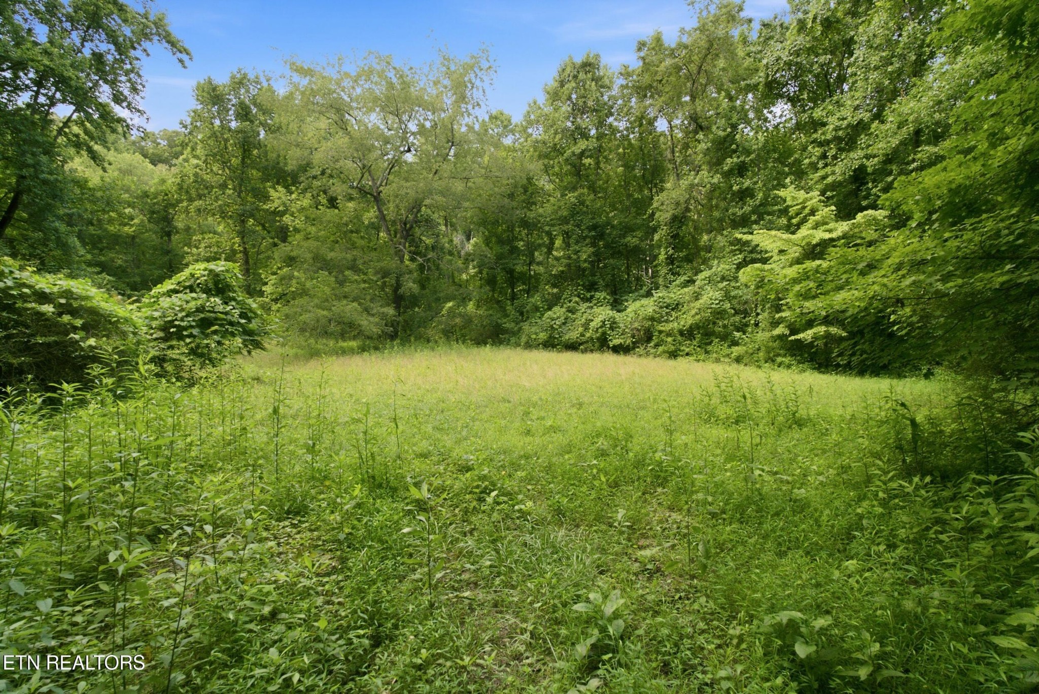 2777 Swanson Lane Property Photo 1