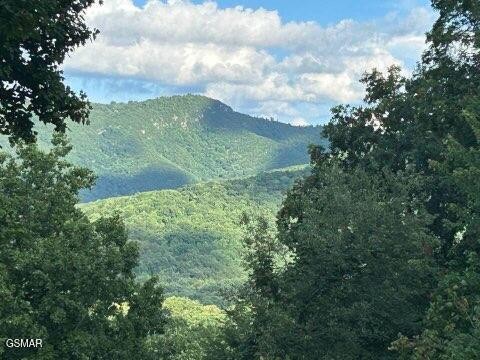 1016 Country Mountain Road Property Photo 45