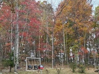 1016 Country Mountain Road Property Photo 46