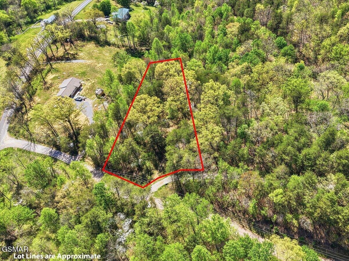 0 Dark Hollow Road Property Photo 1