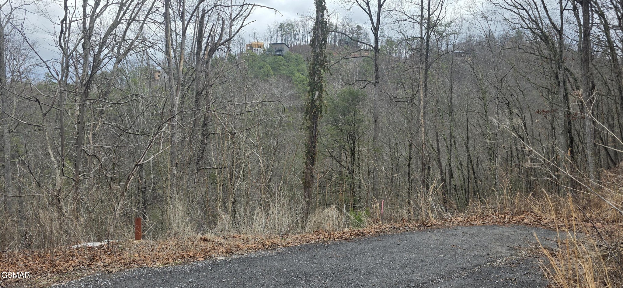 3278 Emerald Springs Loop Property Photo 6