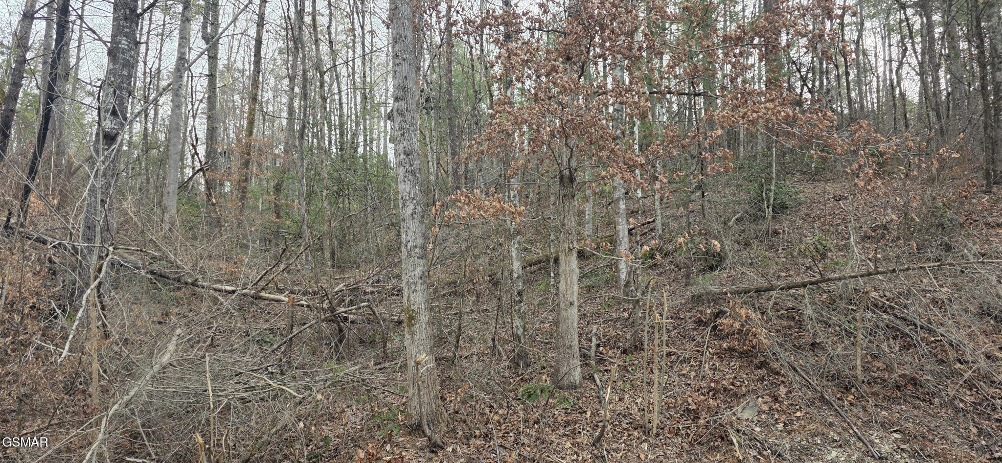 3276 Emerald Springs Loop Property Photo 4