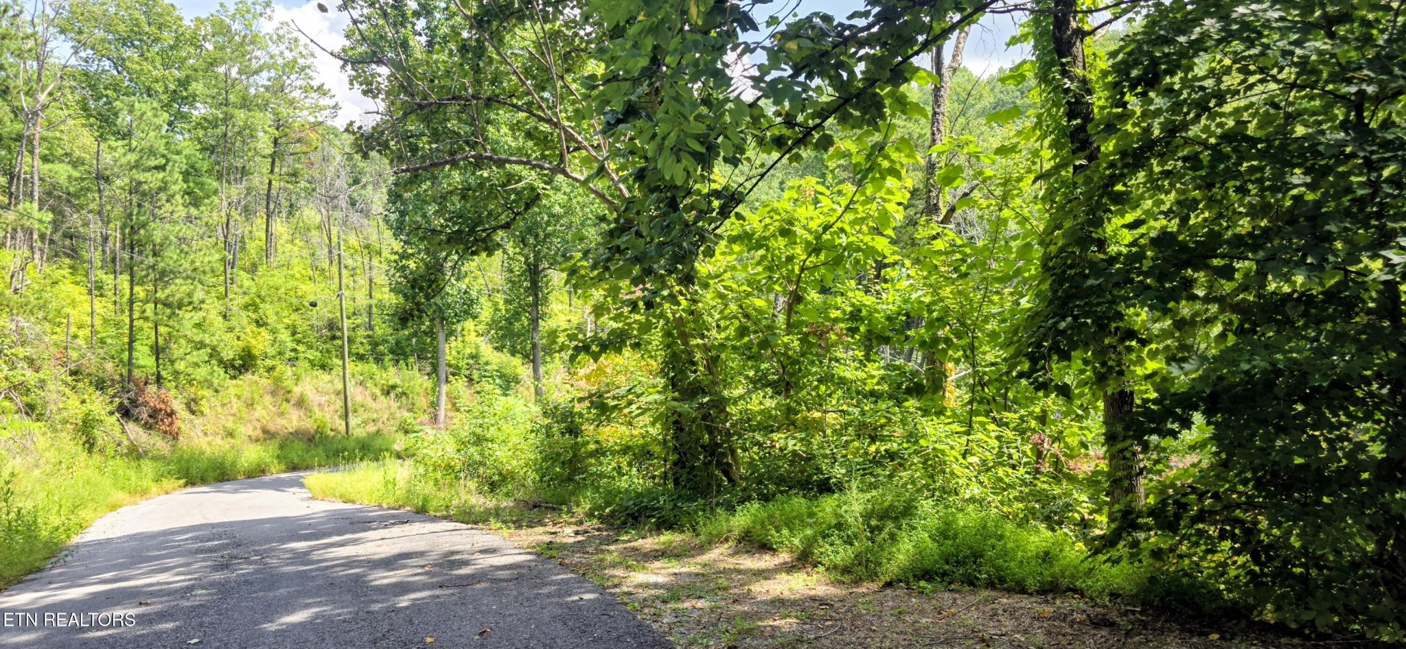 14 Sugar Maple Loop Rd