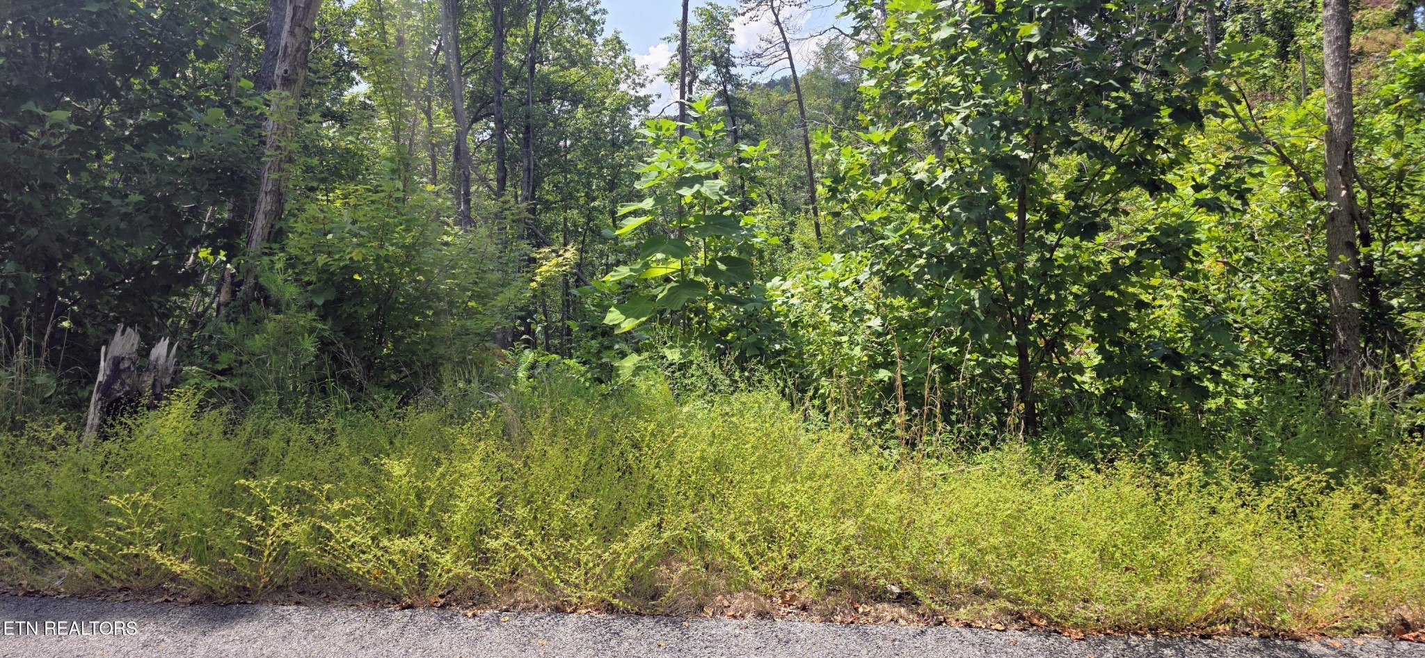14 Sugar Maple Loop Rd Property Photo 3