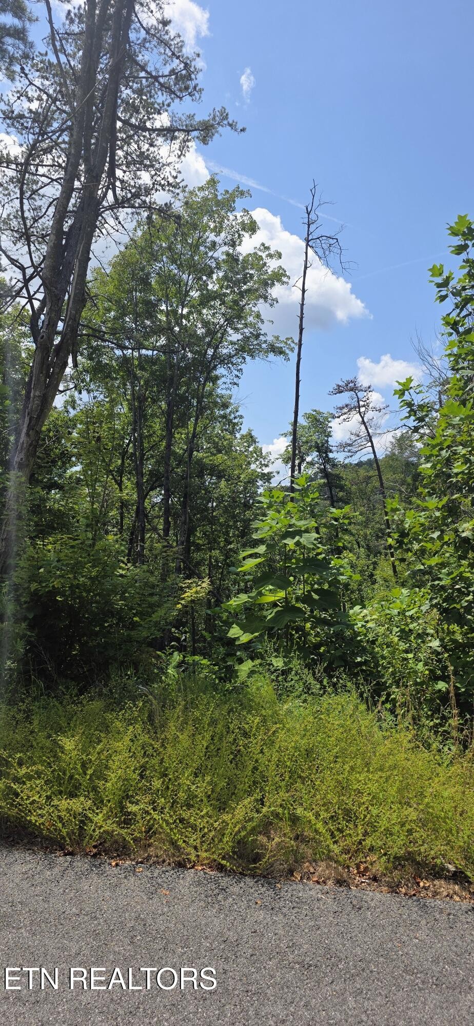 14 Sugar Maple Loop Rd Property Photo 4
