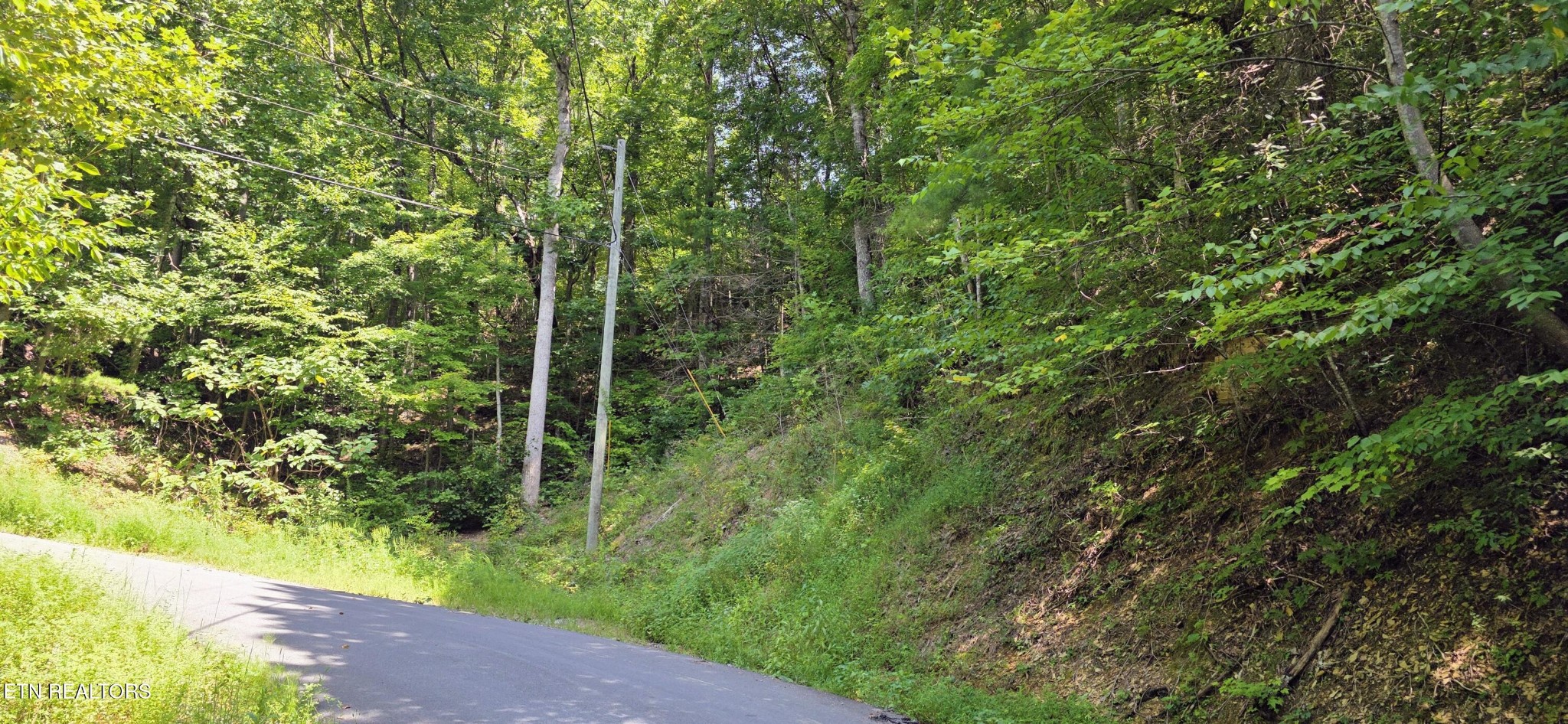 24 Sugar Maple Loop Rd Property Photo 3