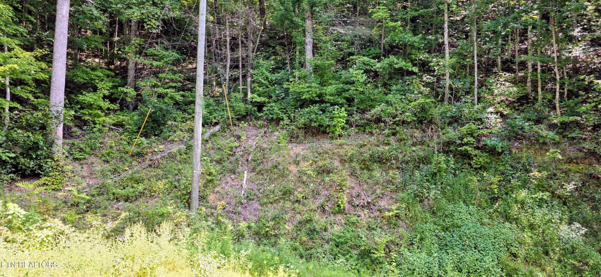24 Sugar Maple Loop Rd Property Photo 5