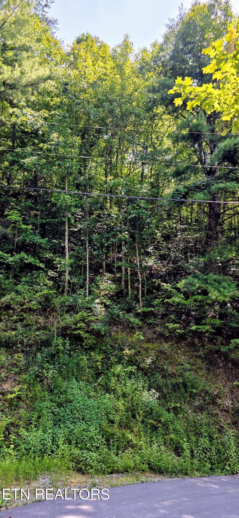 24 Sugar Maple Loop Rd Property Photo 6
