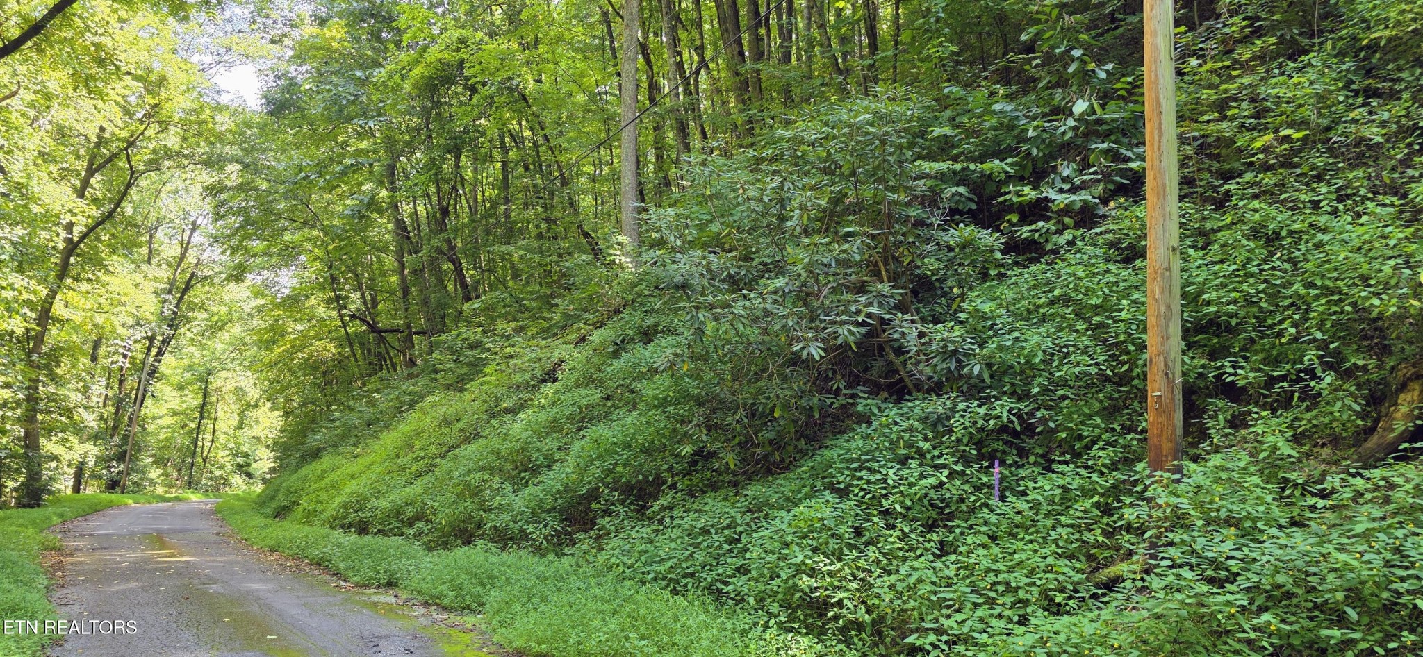 29 Black Walnut Flats Rd Property Photo 1