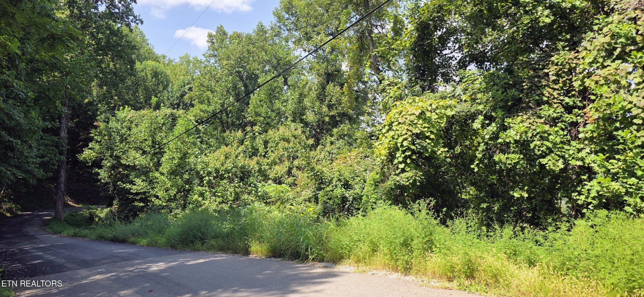 28 Sugar Maple Loop Rd Property Photo 5