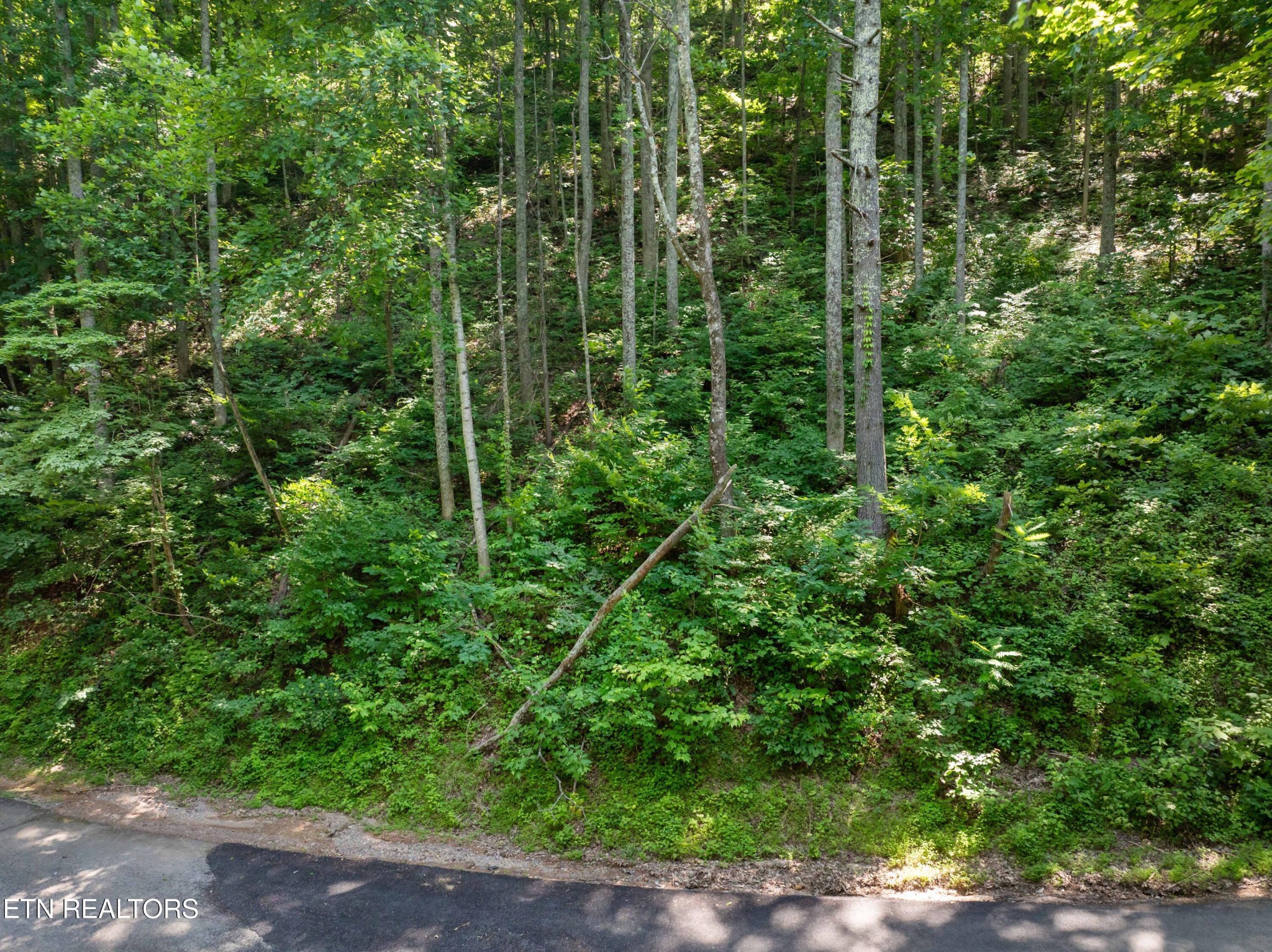0 Emerald Springs Loop Property Photo 2