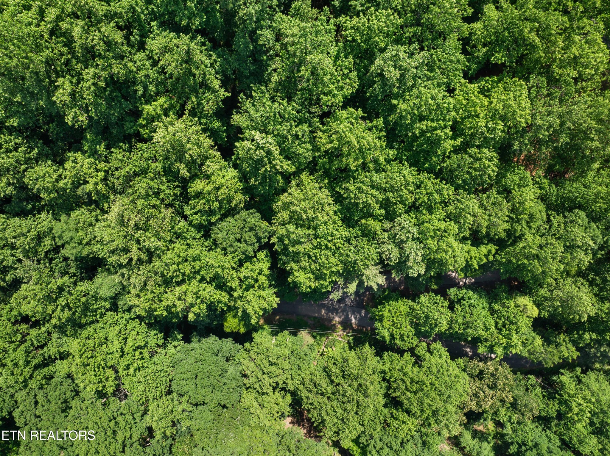0 Emerald Springs Loop Property Photo 3