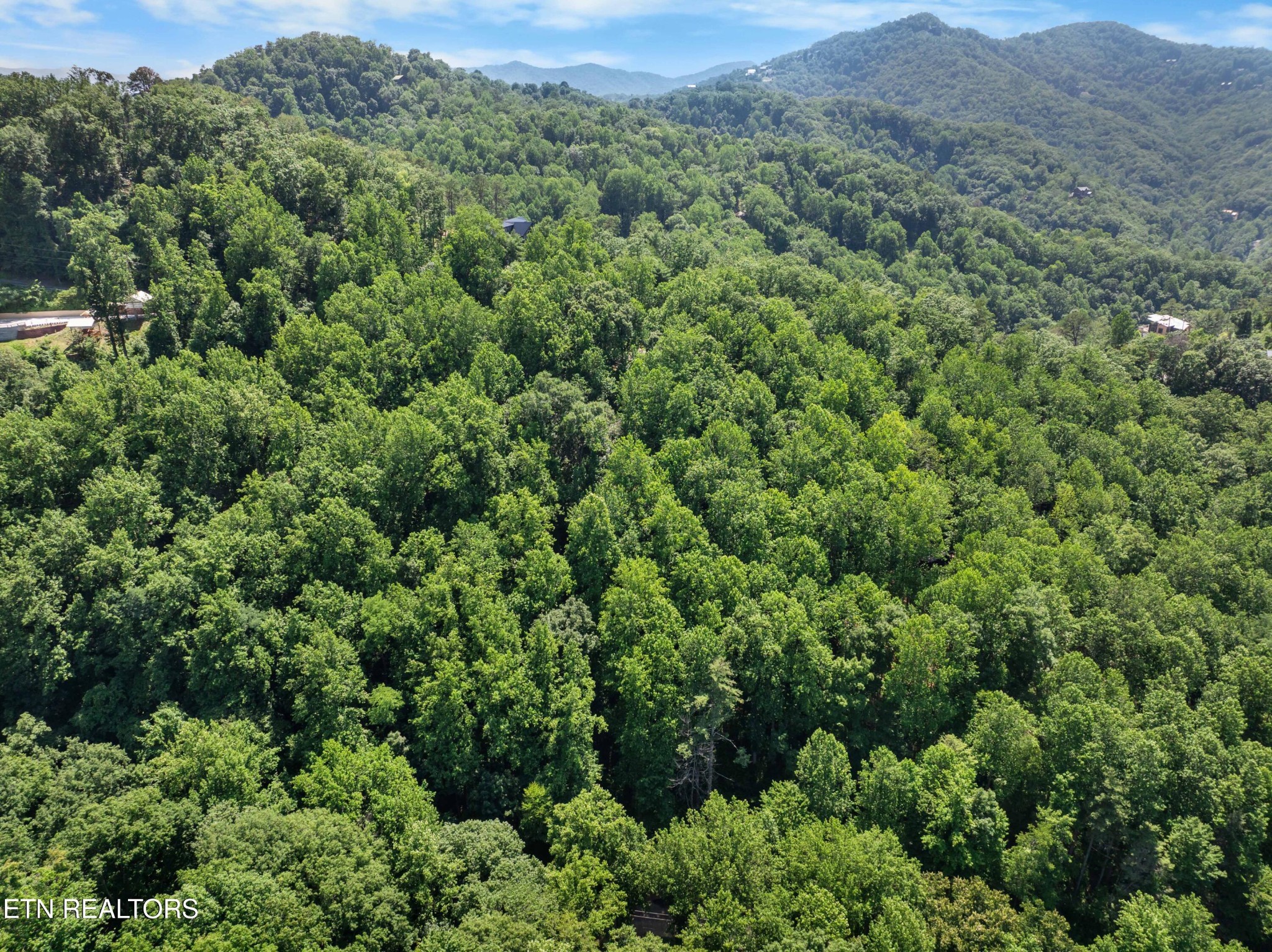 0 Emerald Springs Loop Property Photo 6