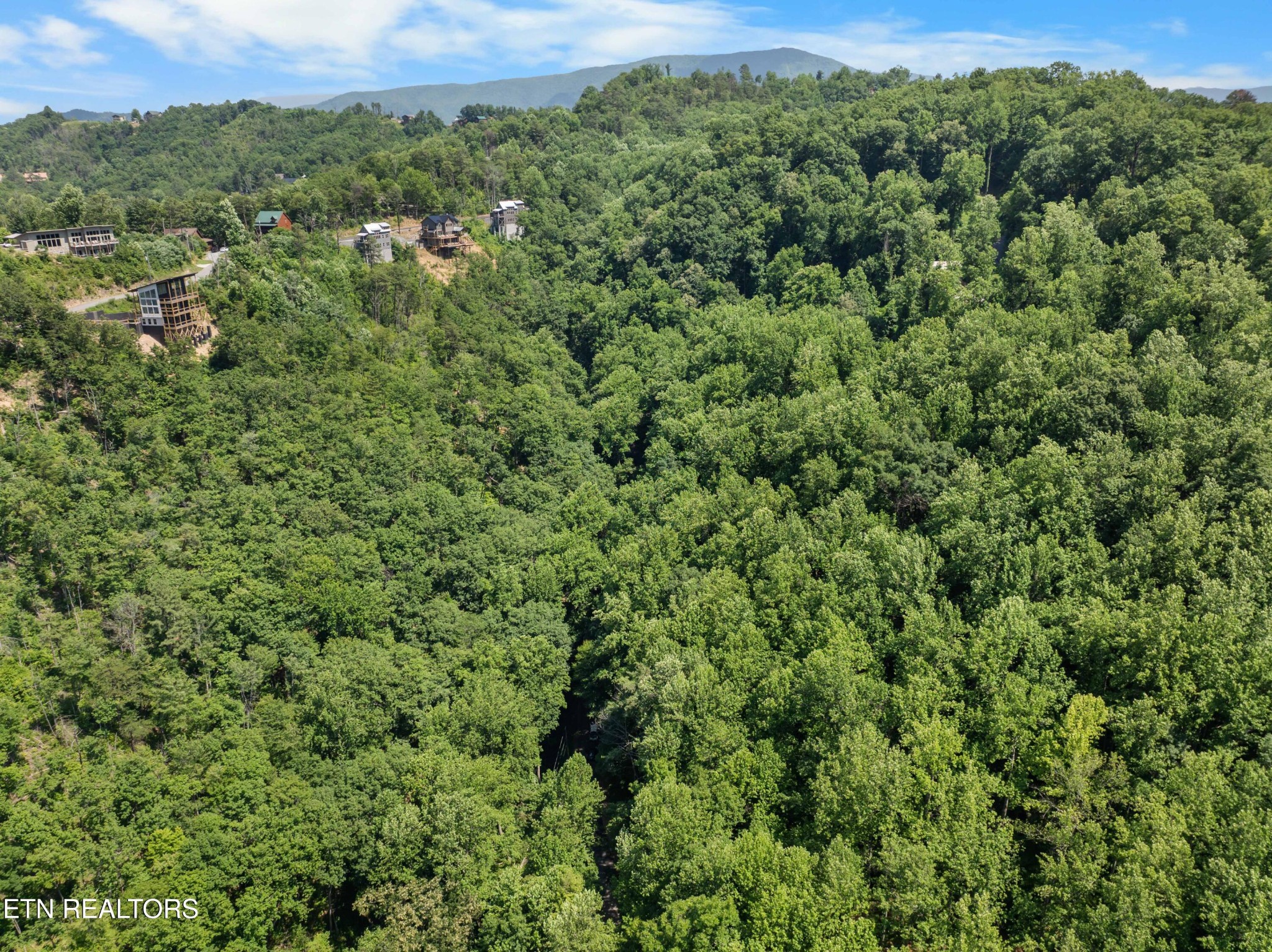 0 Emerald Springs Loop Property Photo 7