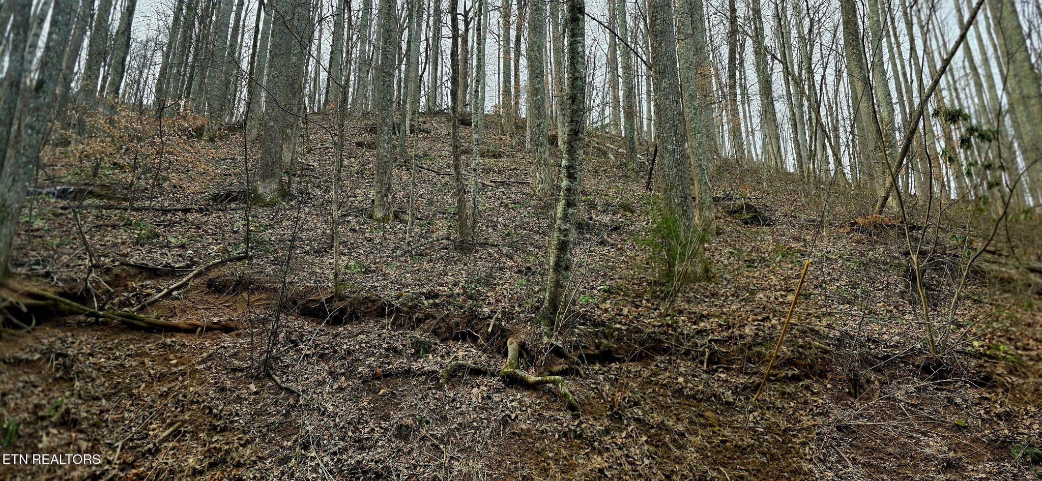 0 Emerald Springs Loop Property Photo 16