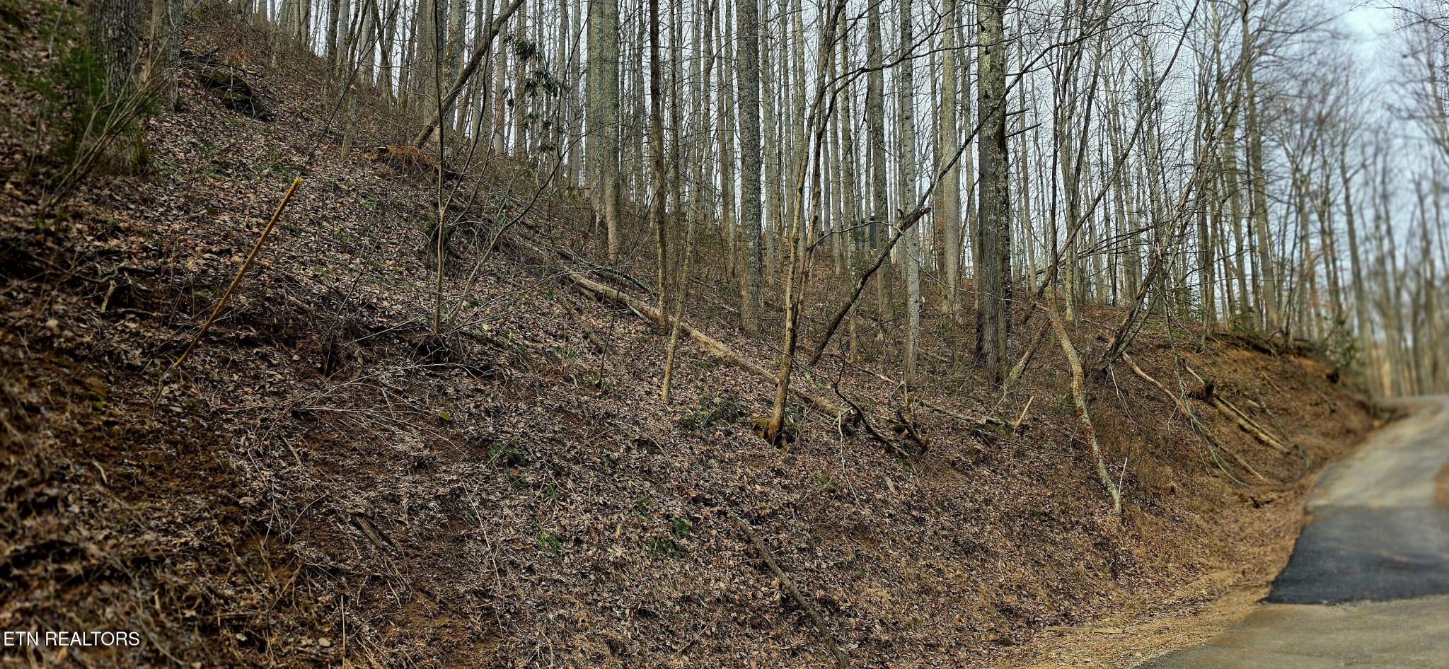 0 Emerald Springs Loop Property Photo 17
