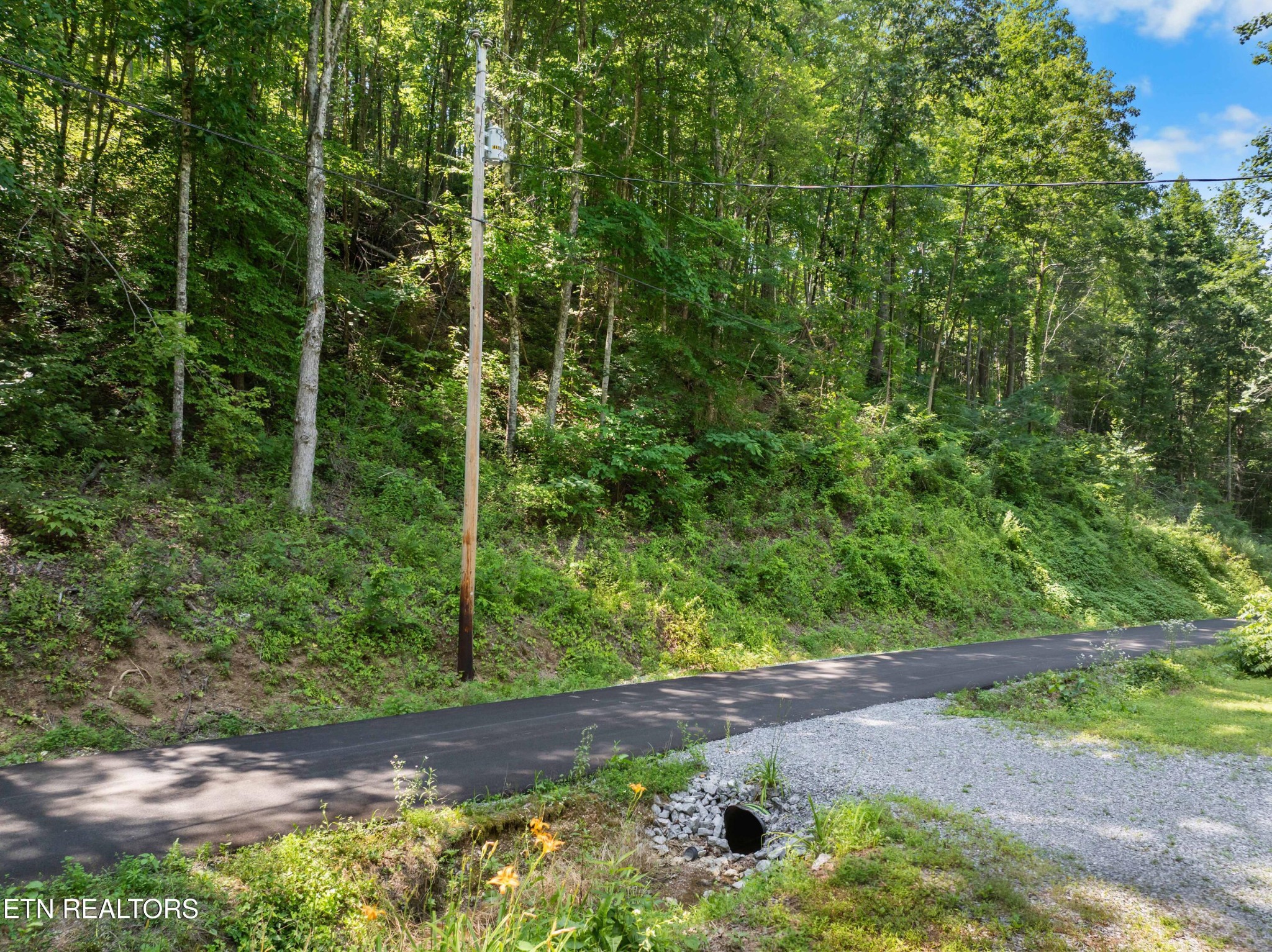 0 Emerald Springs Loop Property Photo 1