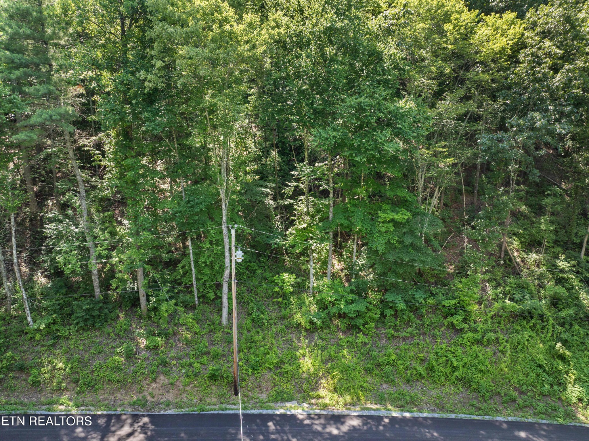 0 Emerald Springs Loop Property Photo 2