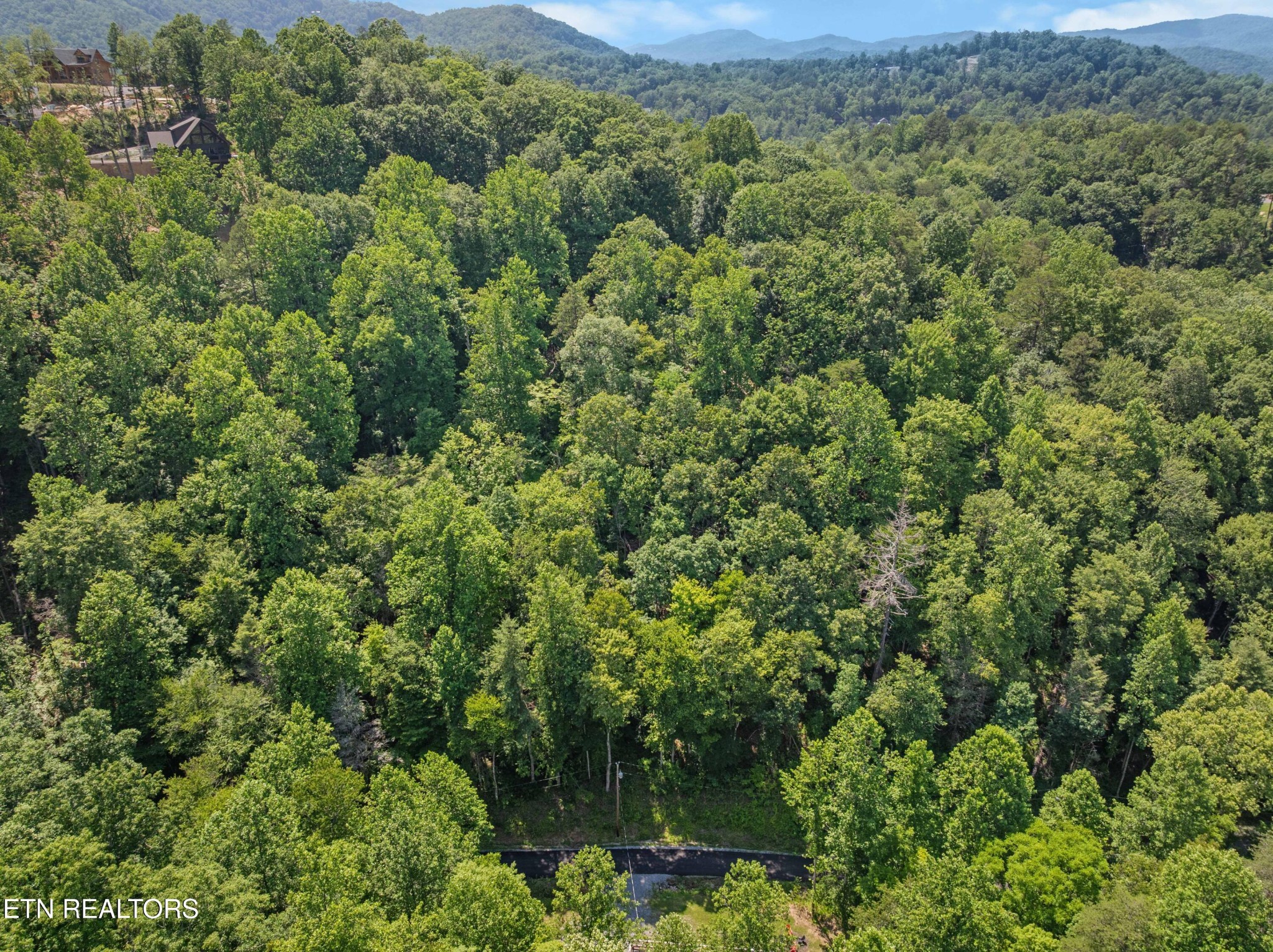 0 Emerald Springs Loop Property Photo 4